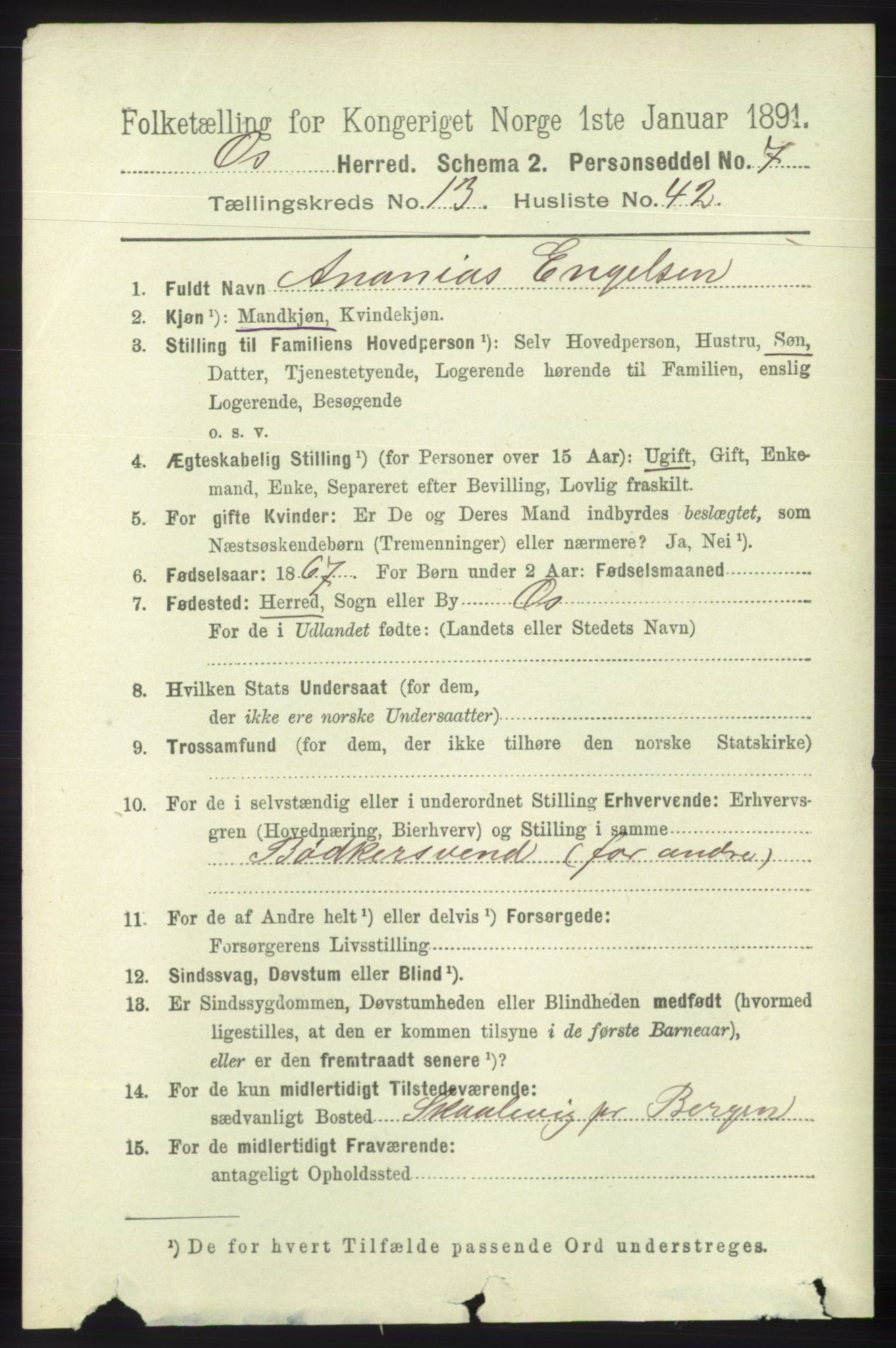 RA, 1891 census for 1243 Os, 1891, p. 3056