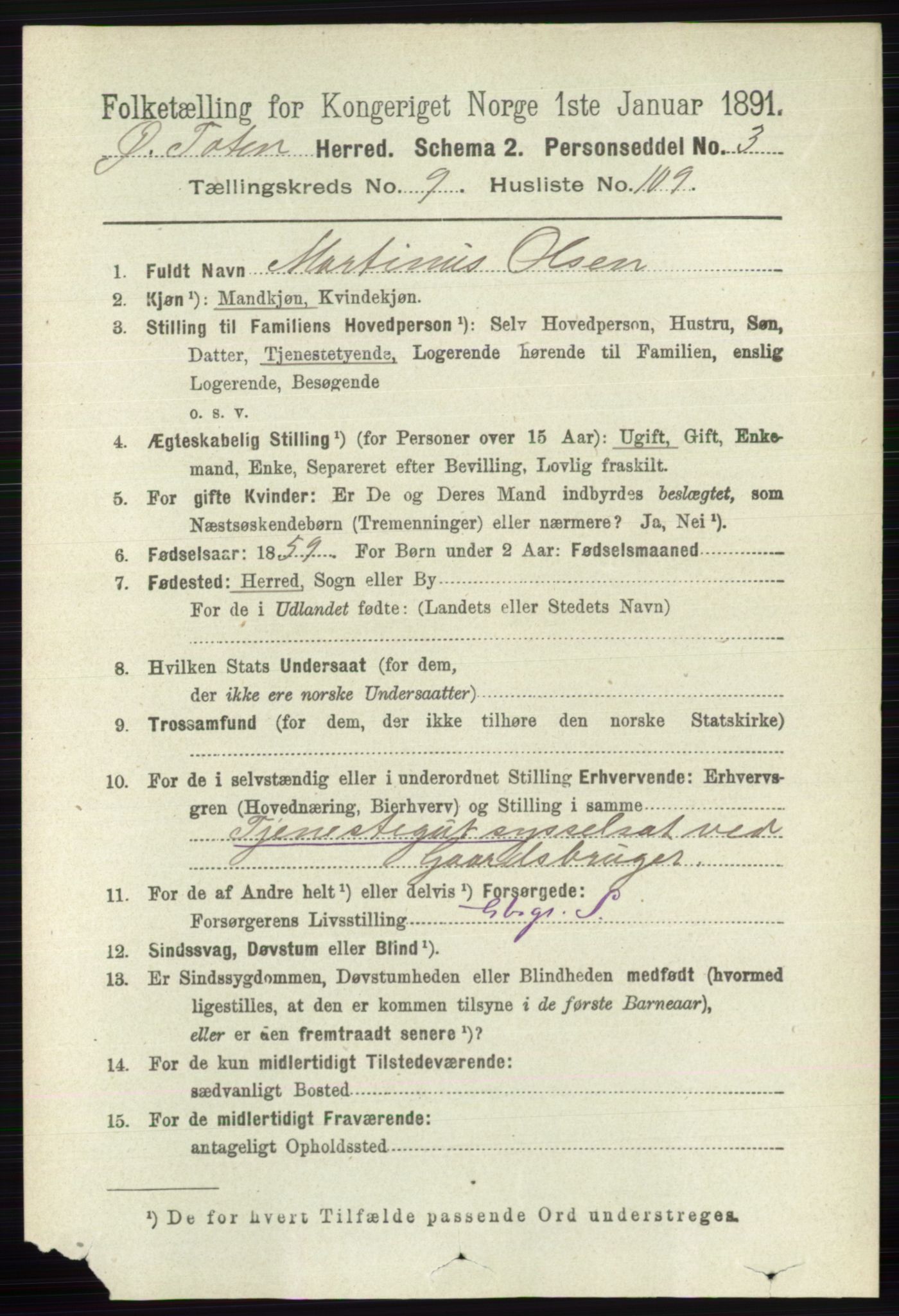 RA, 1891 census for 0528 Østre Toten, 1891, p. 6247