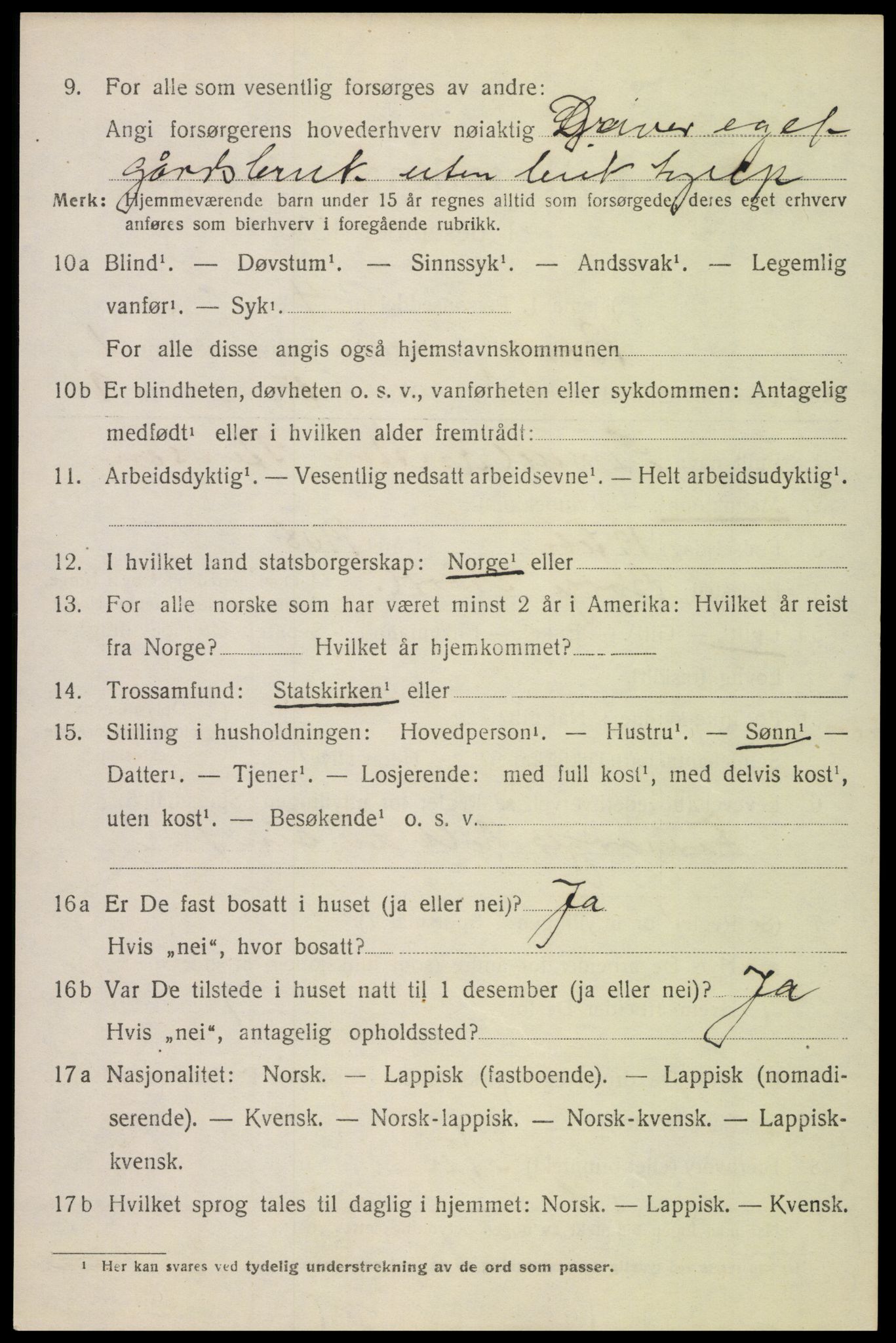 SAT, 1920 census for Borge, 1920, p. 1554