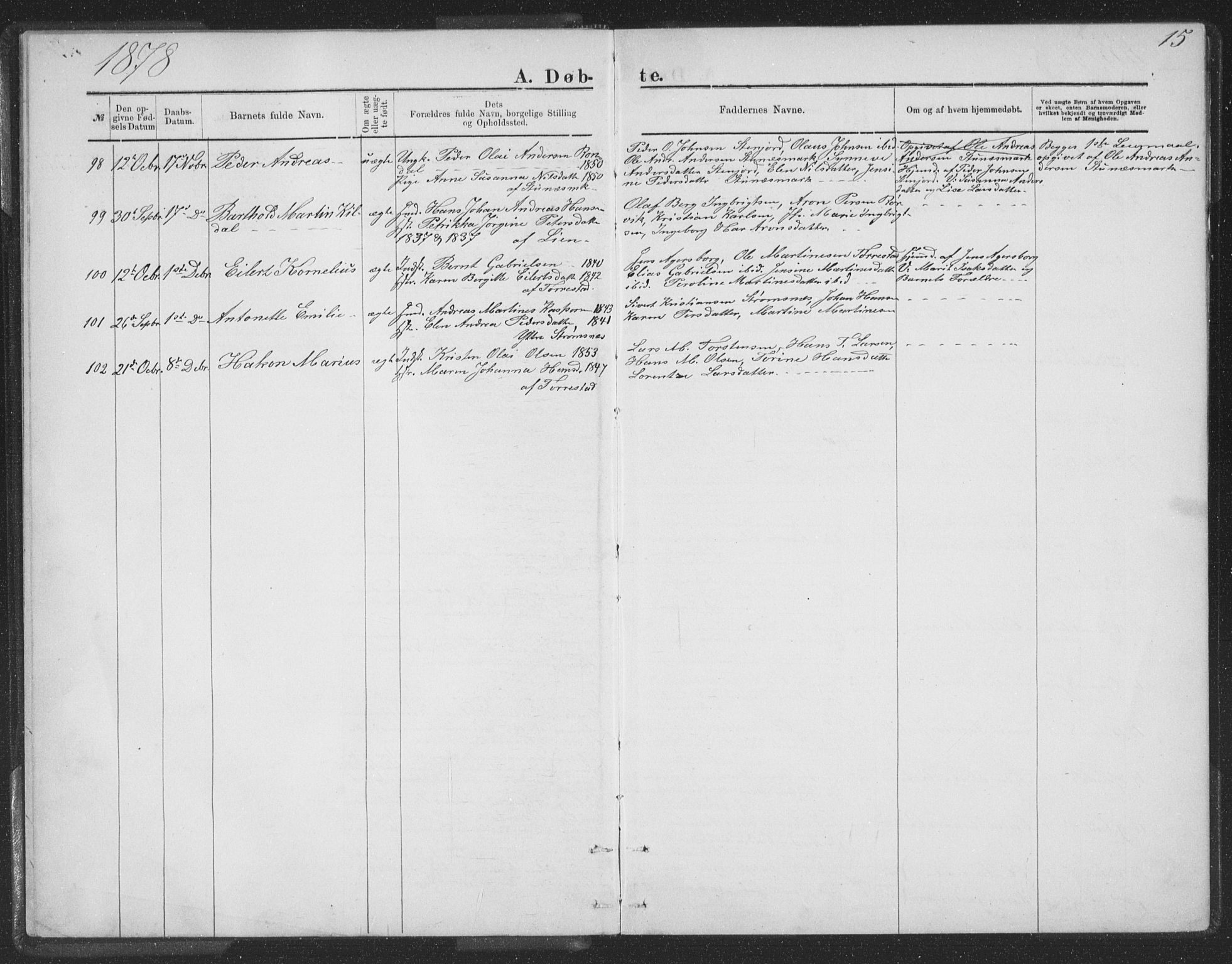 Ministerialprotokoller, klokkerbøker og fødselsregistre - Nordland, AV/SAT-A-1459/863/L0913: Parish register (copy) no. 863C03, 1877-1885, p. 15