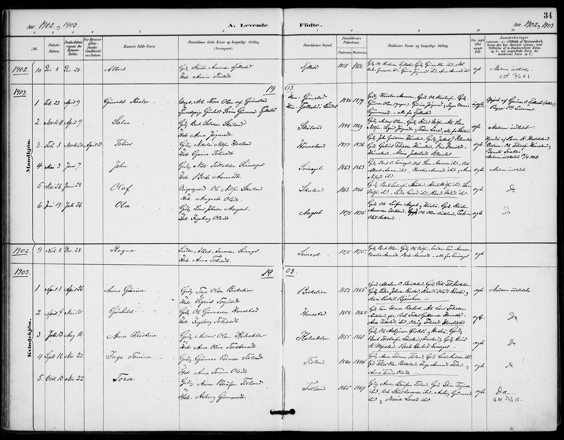 Holum sokneprestkontor, AV/SAK-1111-0022/F/Fa/Fab/L0007: Parish register (official) no. A 7, 1887-1912, p. 34