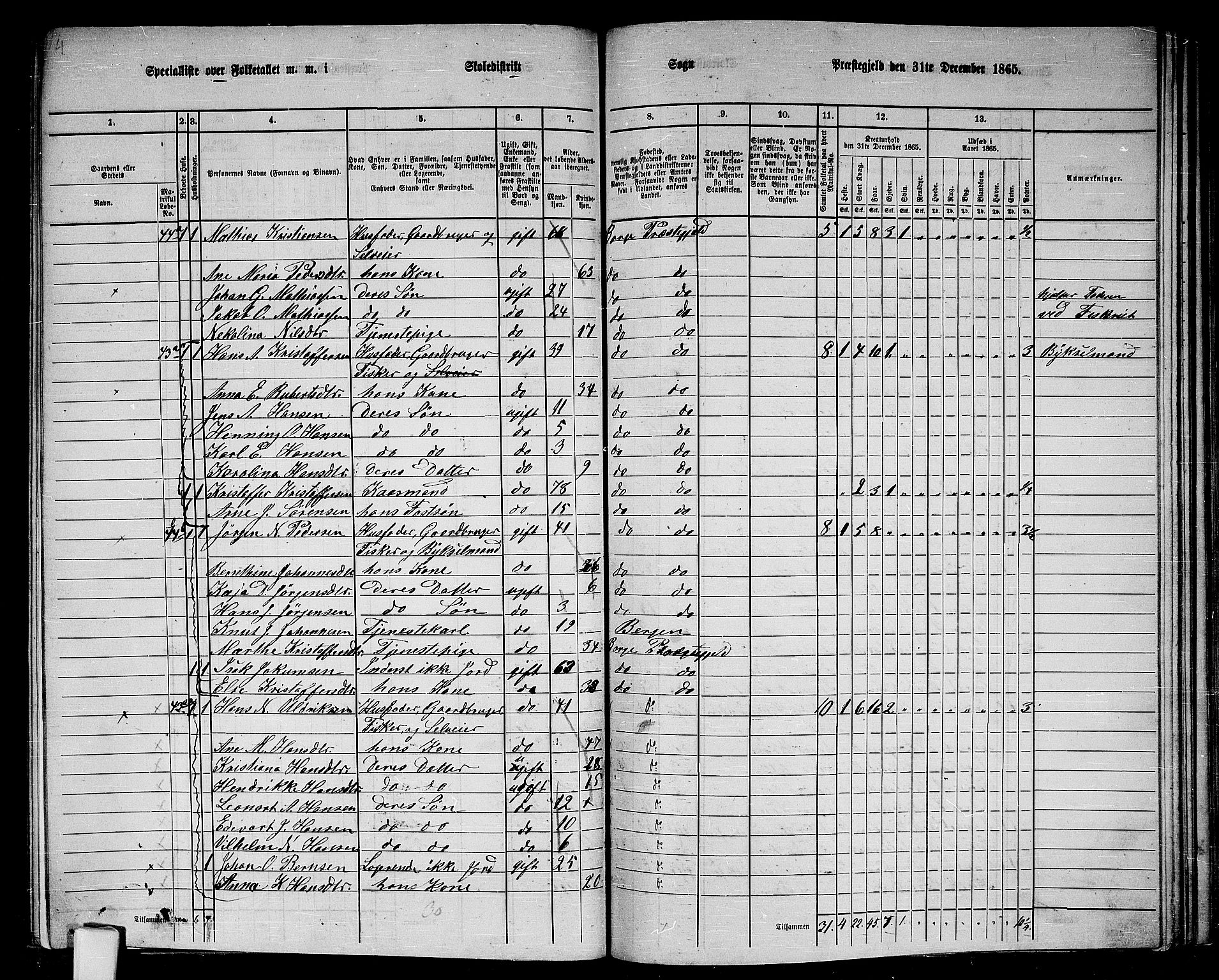 RA, 1865 census for Borge, 1865, p. 44