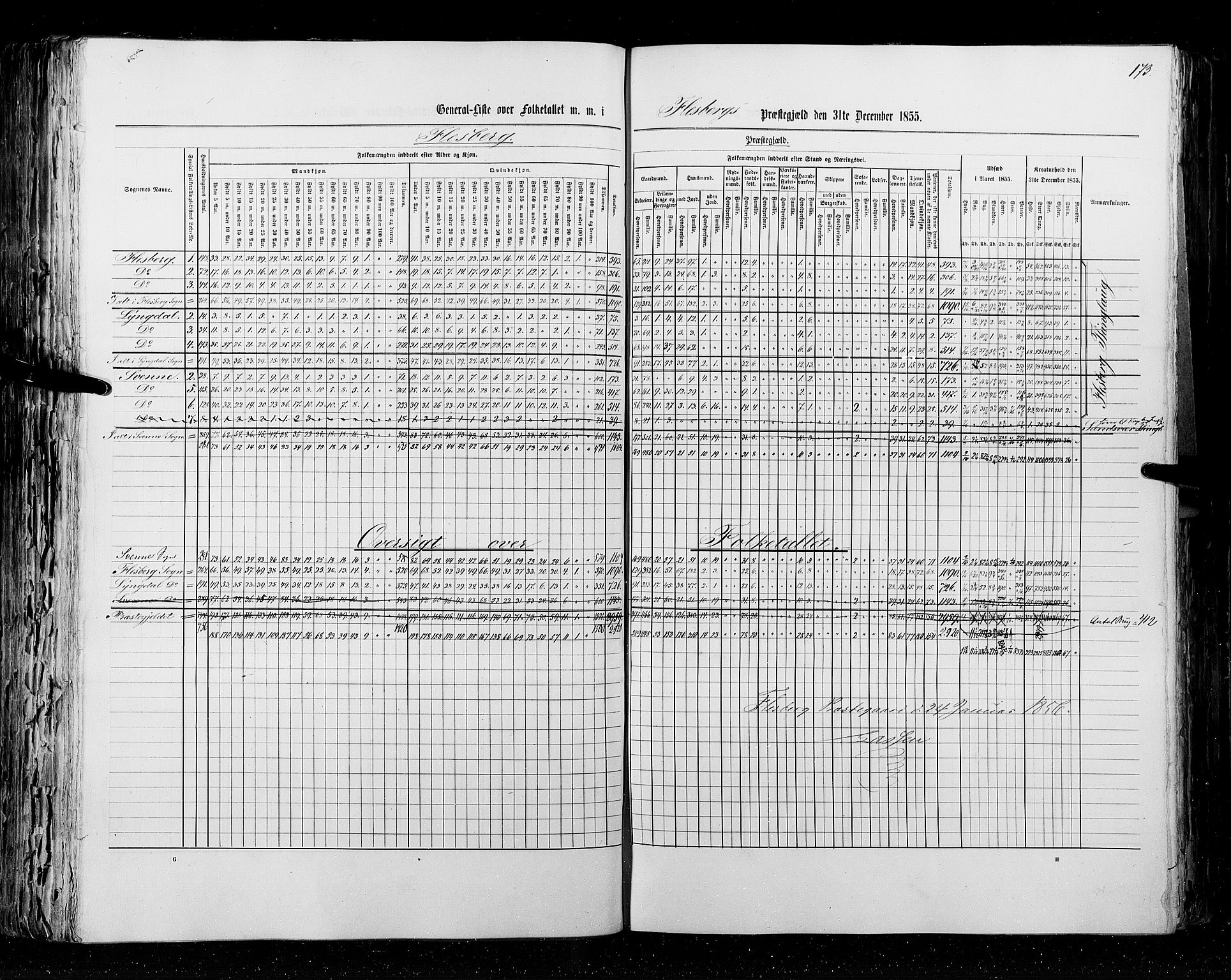 RA, Census 1855, vol. 2: Kristians amt, Buskerud amt og Jarlsberg og Larvik amt, 1855, p. 173