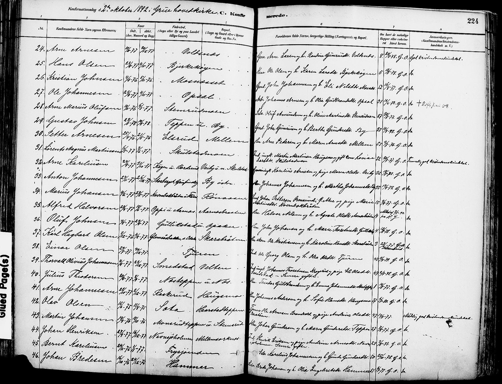 Grue prestekontor, AV/SAH-PREST-036/H/Ha/Haa/L0012: Parish register (official) no. 12, 1881-1897, p. 224