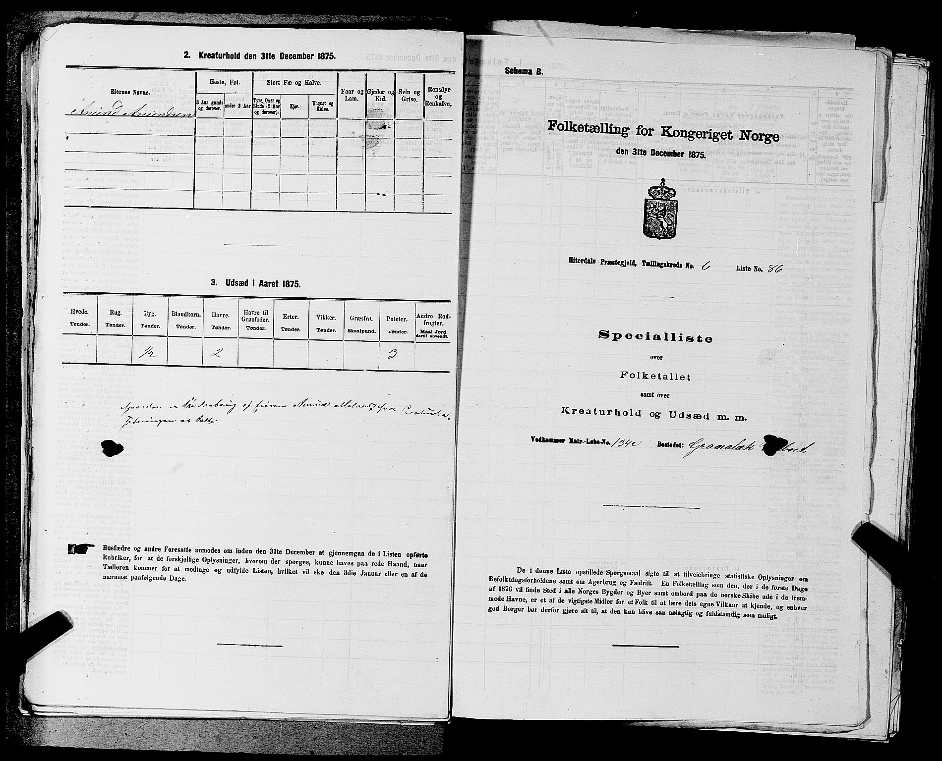 SAKO, 1875 census for 0823P Heddal, 1875, p. 1002