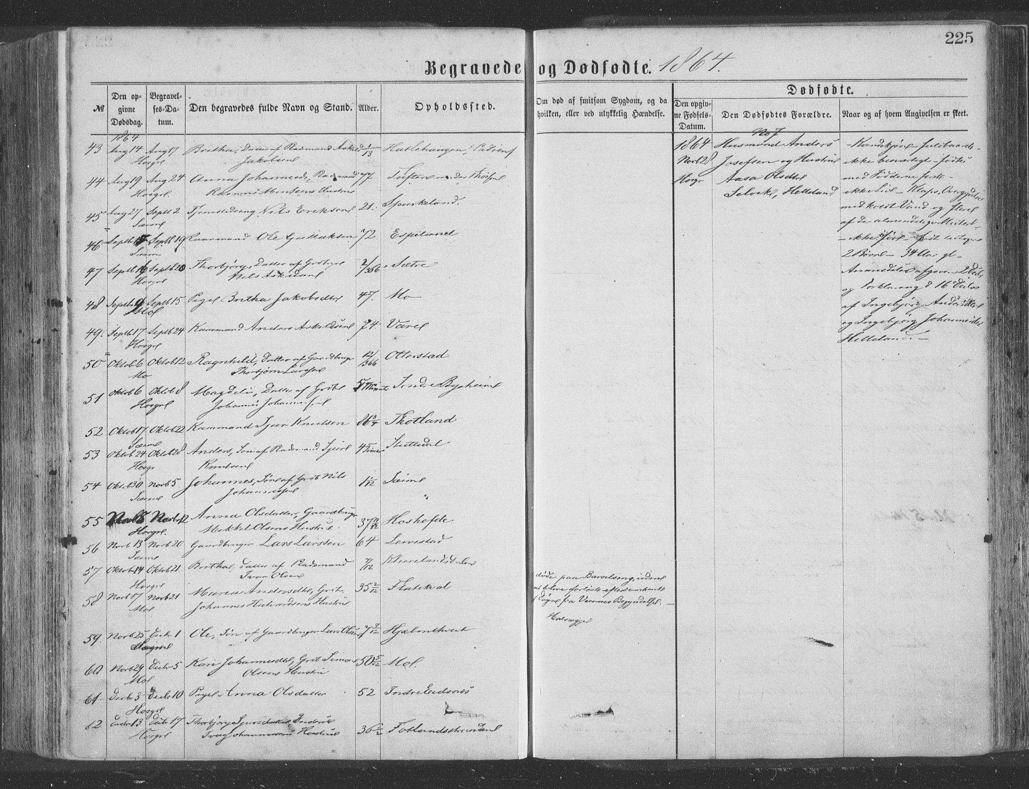 Hosanger sokneprestembete, SAB/A-75801/H/Haa: Parish register (official) no. A 9, 1864-1876, p. 225