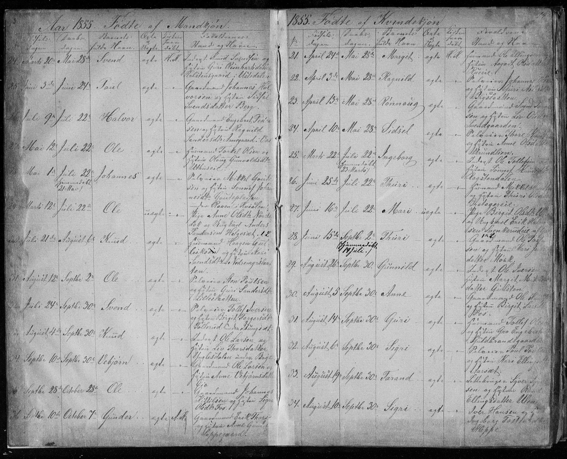 Hol kirkebøker, AV/SAKO-A-227/F/Fa/L0001: Parish register (official) no. I 1, 1850-1870, p. 13-14