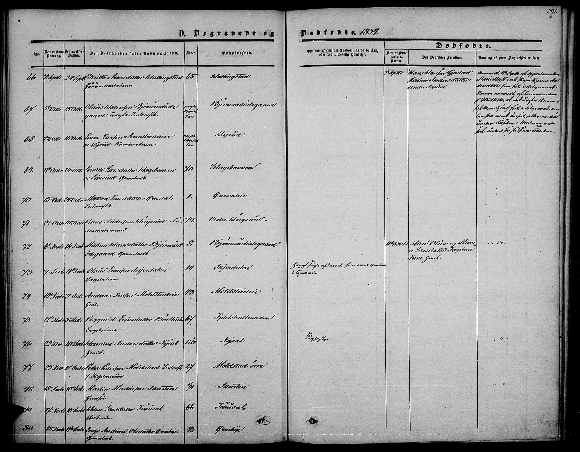 Vestre Toten prestekontor, AV/SAH-PREST-108/H/Ha/Haa/L0005: Parish register (official) no. 5, 1850-1855, p. 291