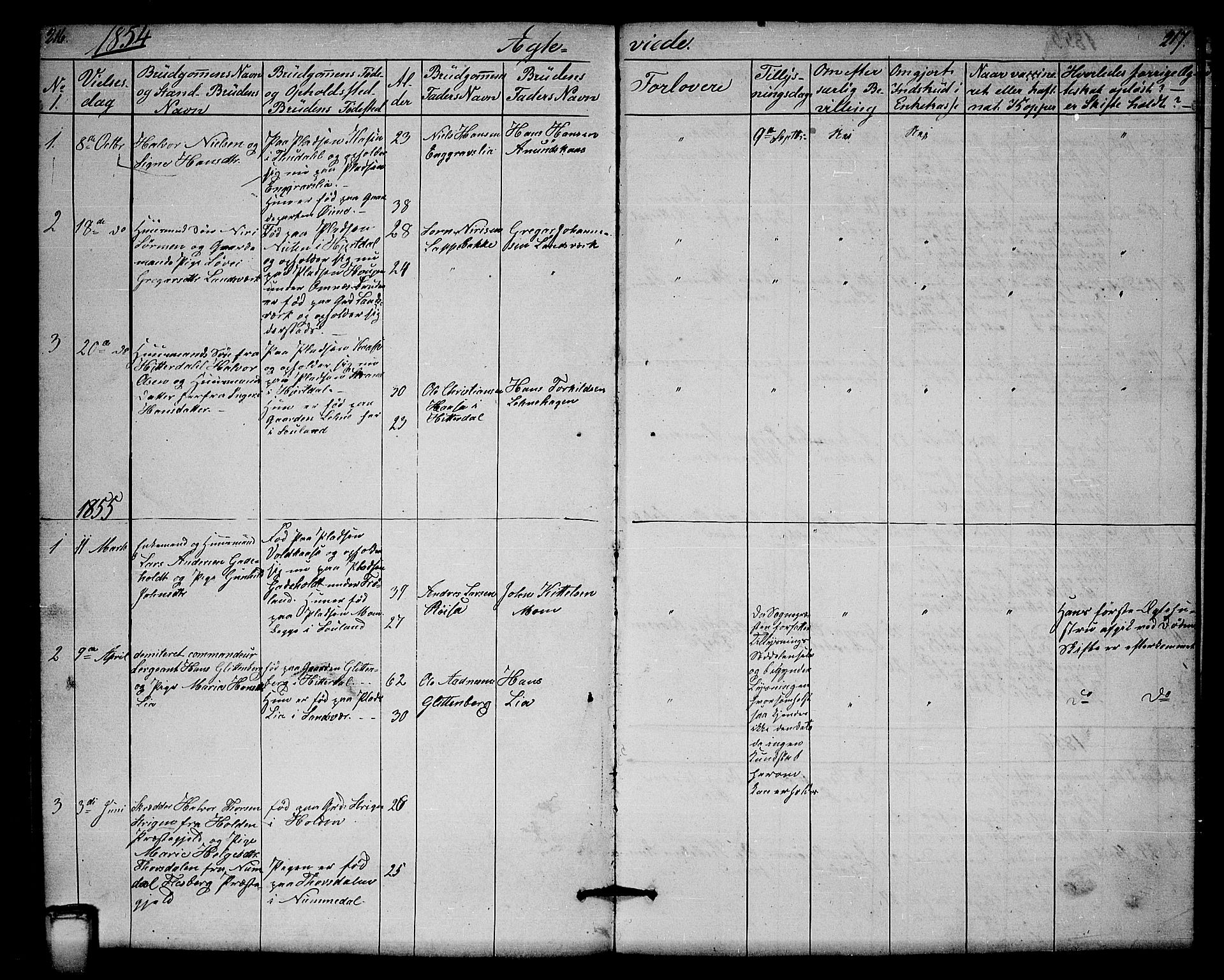 Hjartdal kirkebøker, SAKO/A-270/G/Gb/L0002: Parish register (copy) no. II 2, 1854-1884, p. 216-217