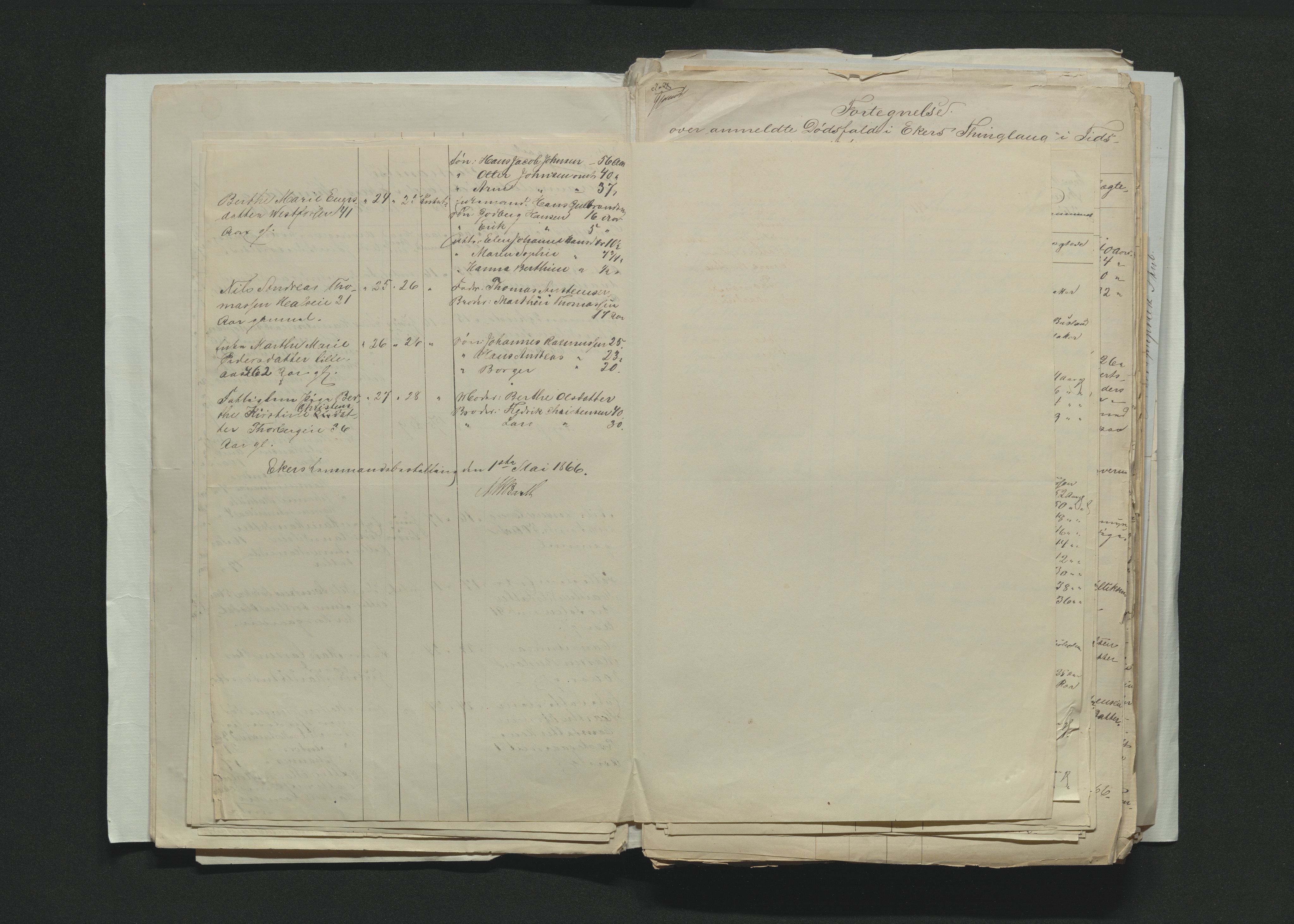 Eiker, Modum og Sigdal sorenskriveri, AV/SAKO-A-123/H/Ha/Hab/L0012: Dødsfallsmeldinger, 1866-1869, p. 23
