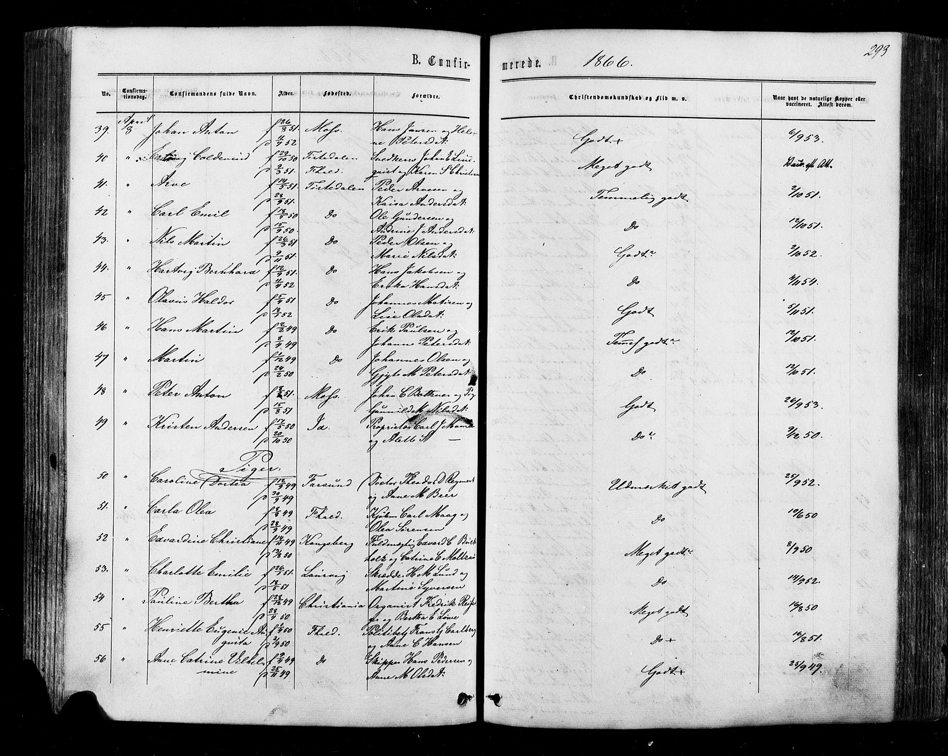 Halden prestekontor Kirkebøker, AV/SAO-A-10909/F/Fa/L0009: Parish register (official) no. I 9, 1866-1877, p. 293