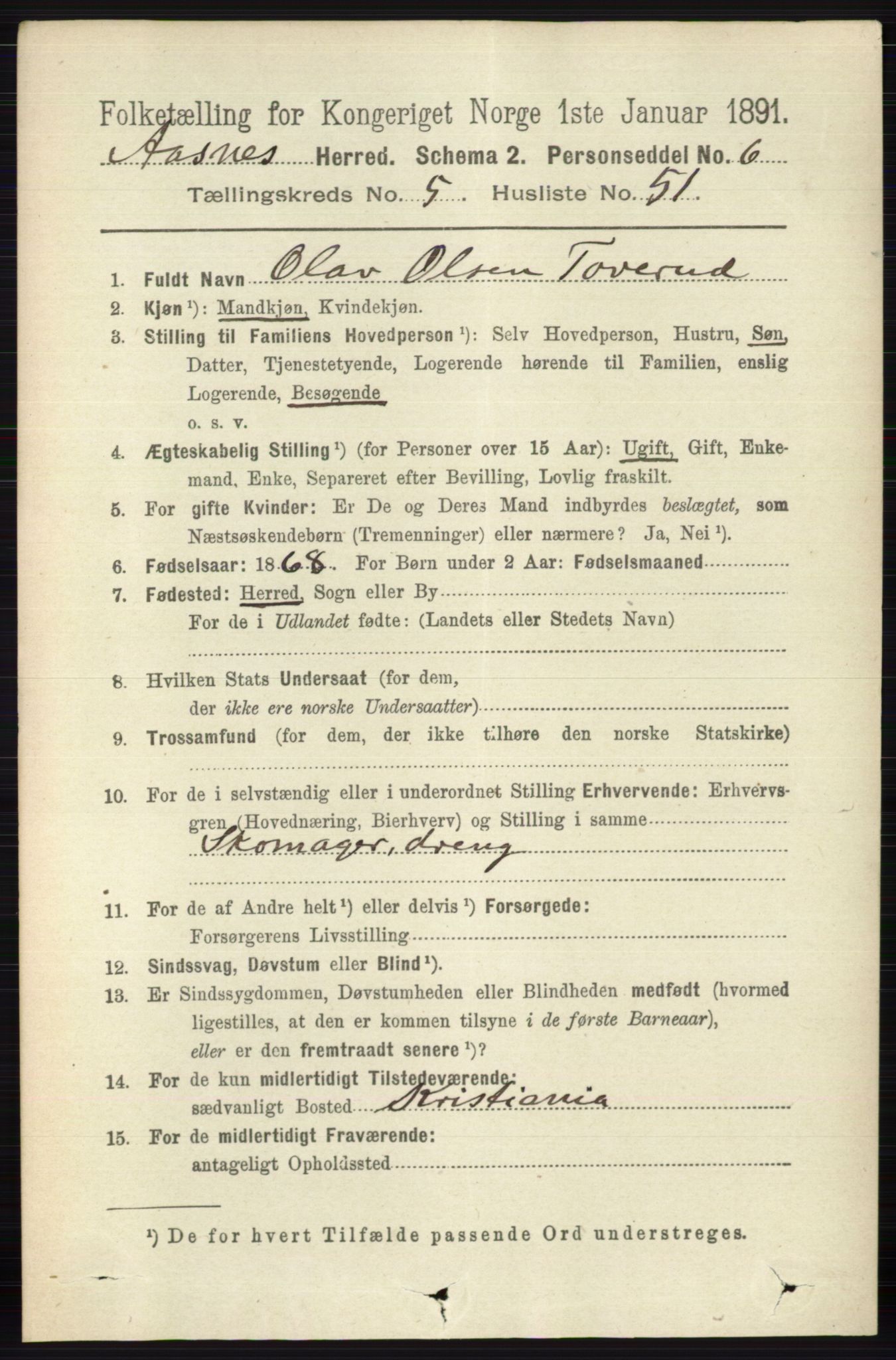 RA, 1891 census for 0425 Åsnes, 1891, p. 2707