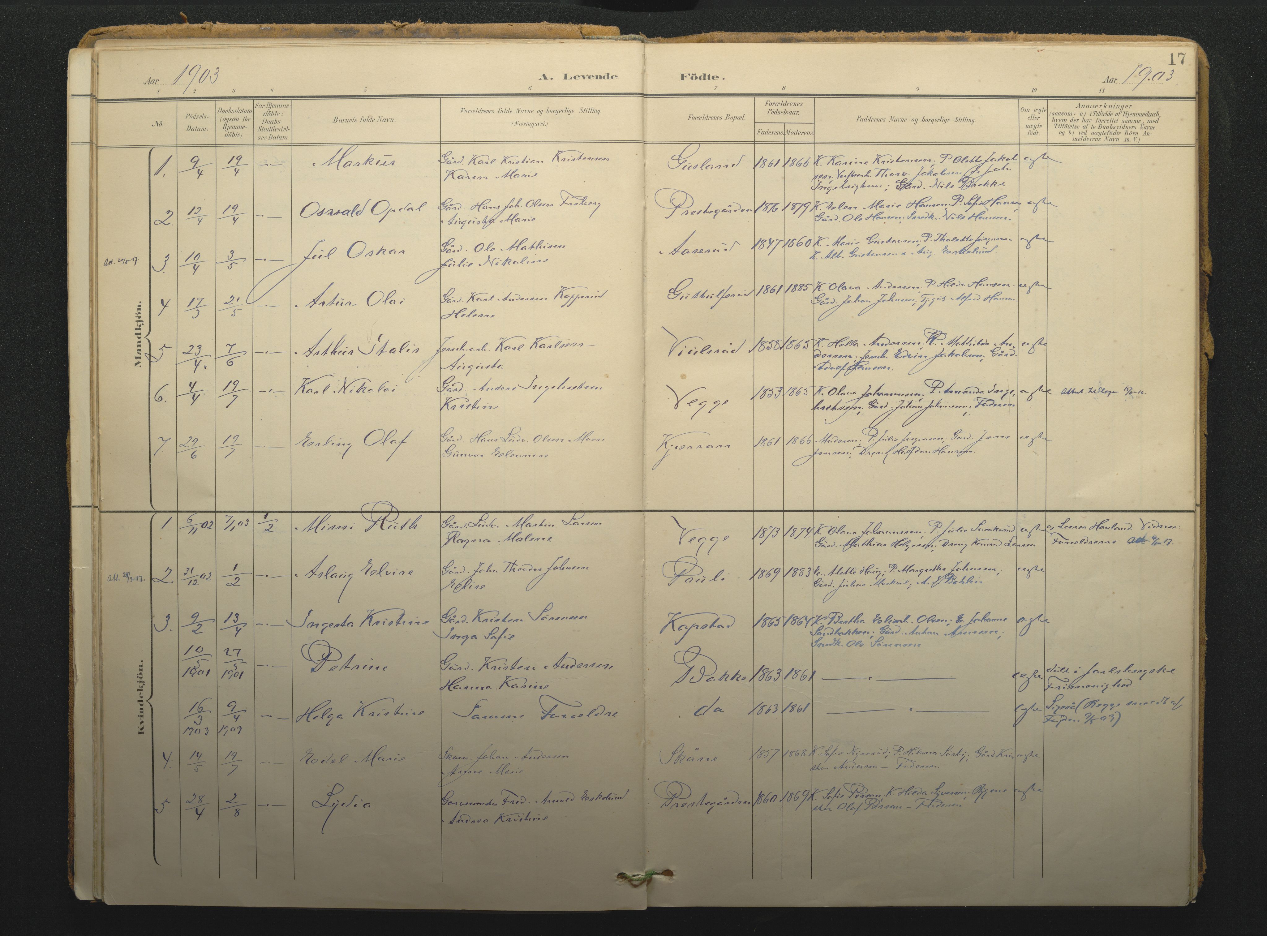 Borre kirkebøker, AV/SAKO-A-338/F/Fc/L0003: Parish register (official) no. III 3, 1896-1919, p. 17