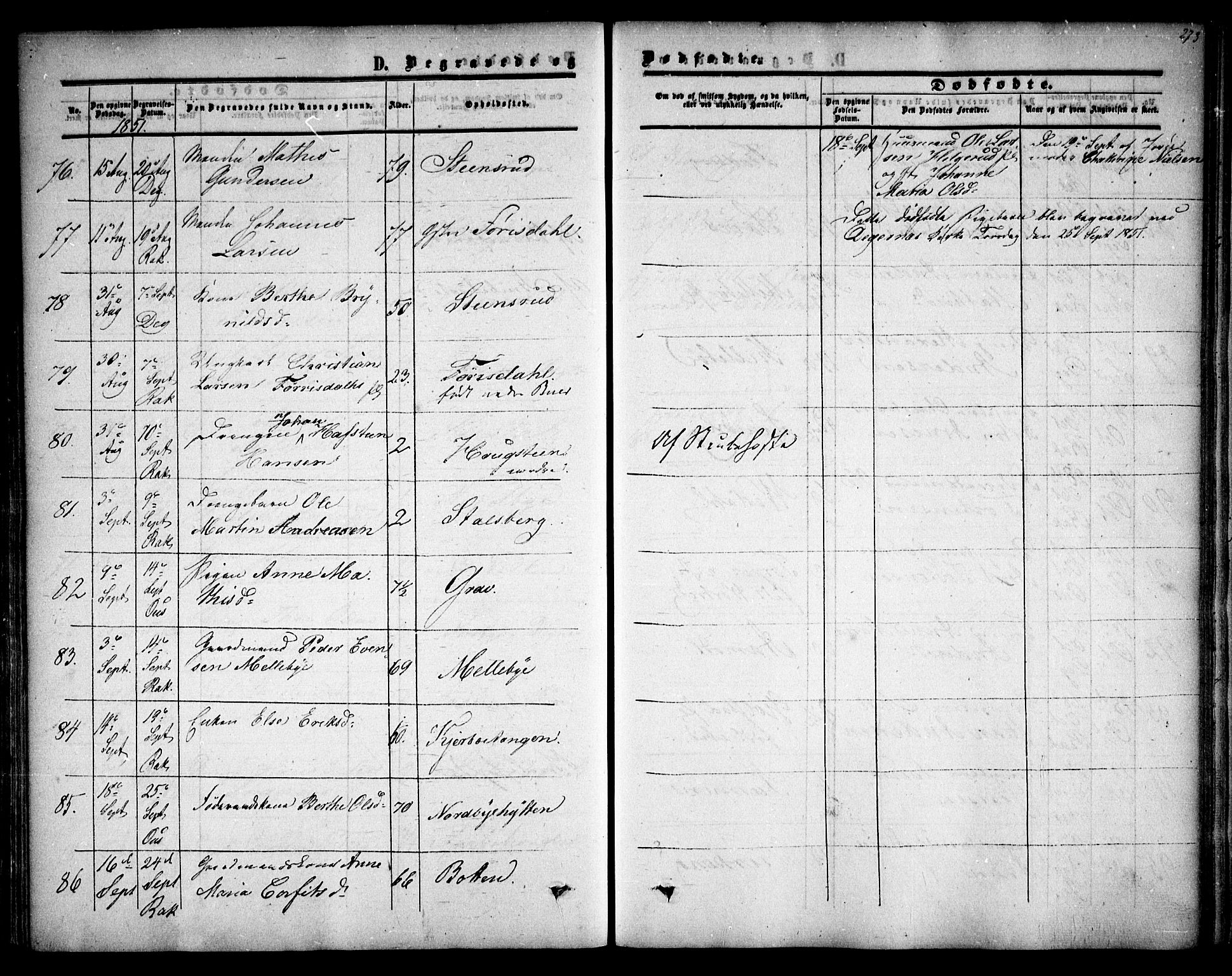 Rakkestad prestekontor Kirkebøker, AV/SAO-A-2008/F/Fa/L0009: Parish register (official) no. I 9, 1850-1856, p. 273