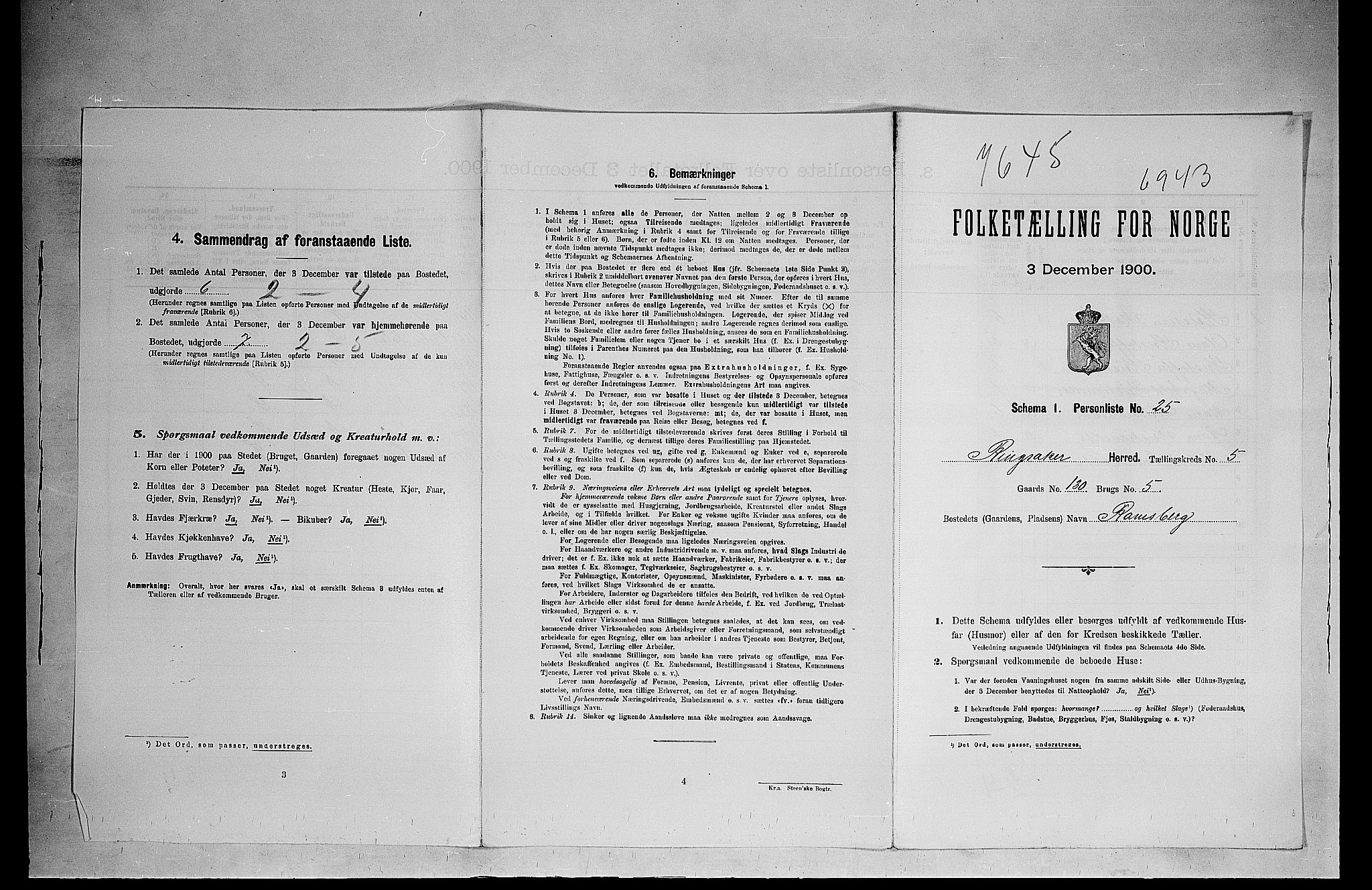 SAH, 1900 census for Ringsaker, 1900, p. 169