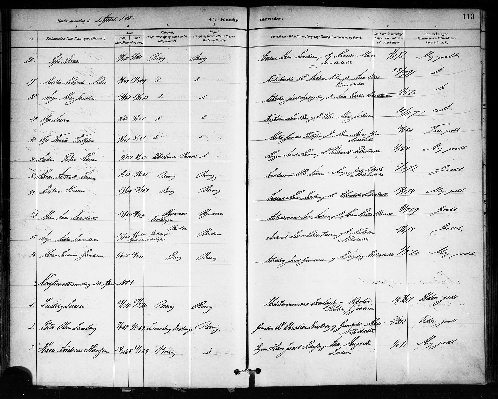 Brevik kirkebøker, SAKO/A-255/F/Fa/L0007: Parish register (official) no. 7, 1882-1900, p. 113