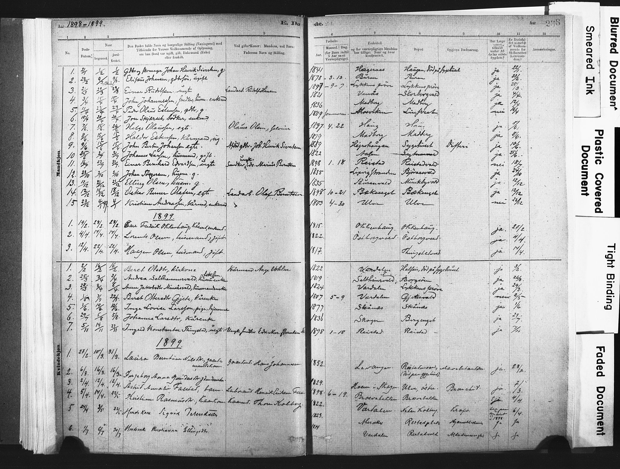 Ministerialprotokoller, klokkerbøker og fødselsregistre - Nord-Trøndelag, SAT/A-1458/721/L0207: Parish register (official) no. 721A02, 1880-1911, p. 238