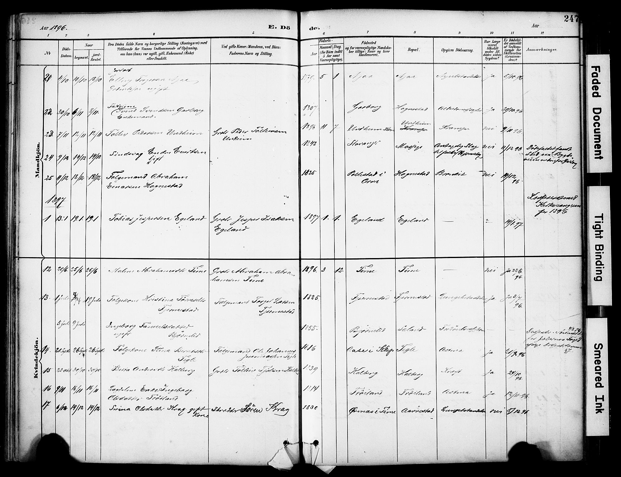 Lye sokneprestkontor, SAST/A-101794/001/30BA/L0011: Parish register (official) no. A 9, 1893-1903, p. 247