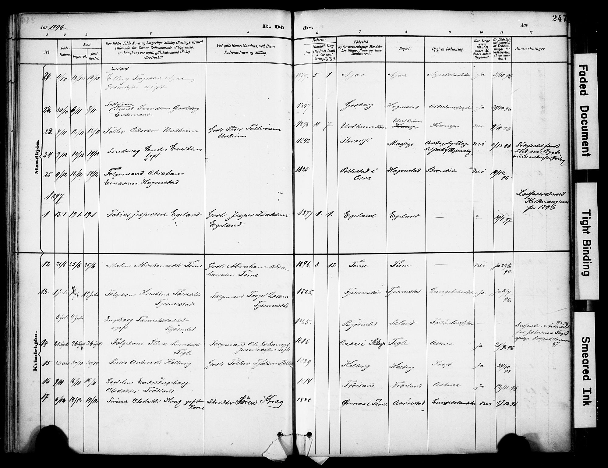 Lye sokneprestkontor, AV/SAST-A-101794/001/30BA/L0011: Parish register (official) no. A 9, 1893-1903, p. 247