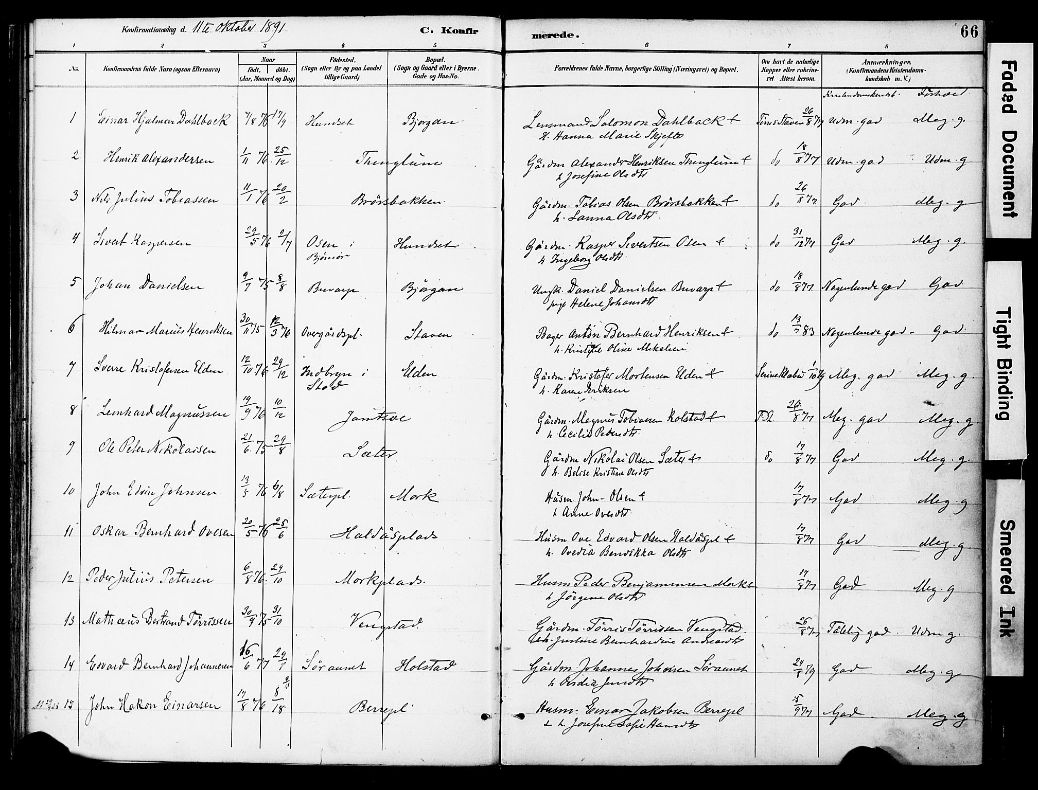 Ministerialprotokoller, klokkerbøker og fødselsregistre - Nord-Trøndelag, AV/SAT-A-1458/742/L0409: Parish register (official) no. 742A02, 1891-1905, p. 66