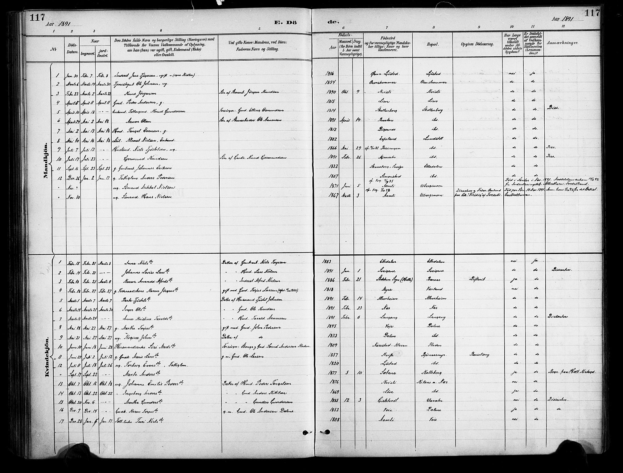 Gjerstad sokneprestkontor, SAK/1111-0014/F/Fa/Fab/L0005: Parish register (official) no. A 5, 1891-1908, p. 117