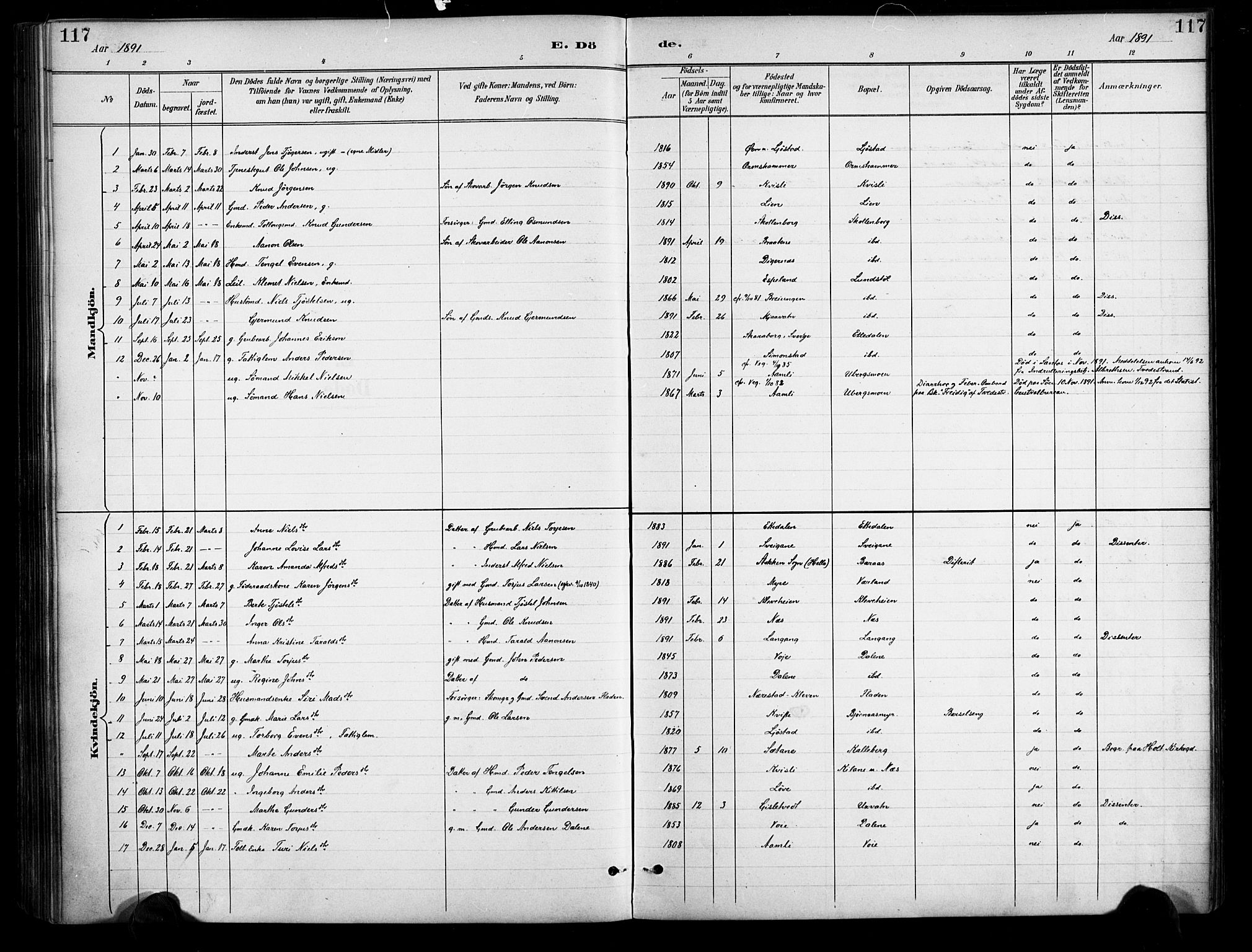 Gjerstad sokneprestkontor, AV/SAK-1111-0014/F/Fa/Fab/L0005: Parish register (official) no. A 5, 1891-1908, p. 117