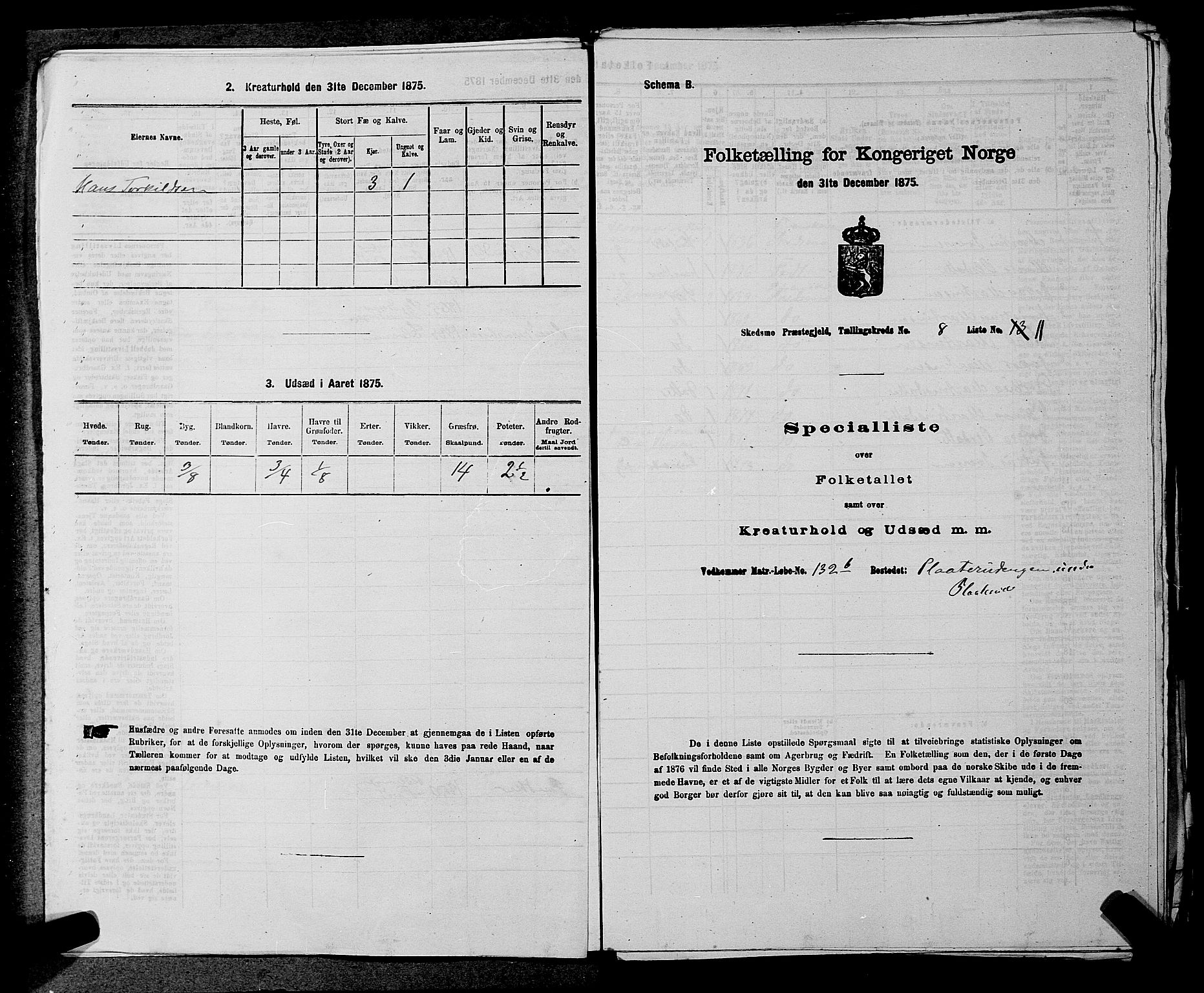 RA, 1875 census for 0231P Skedsmo, 1875, p. 1136