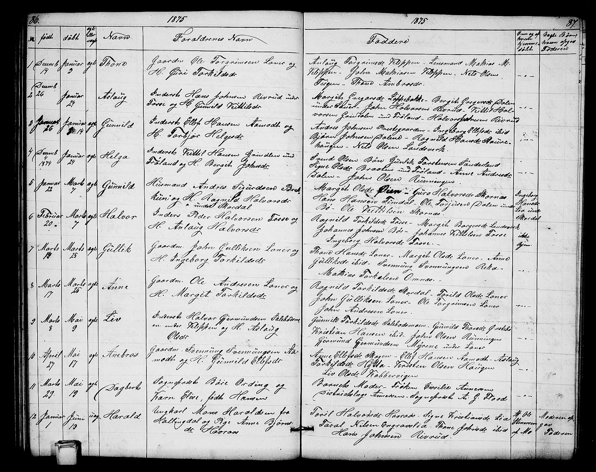 Hjartdal kirkebøker, SAKO/A-270/G/Gb/L0002: Parish register (copy) no. II 2, 1854-1884, p. 86-87