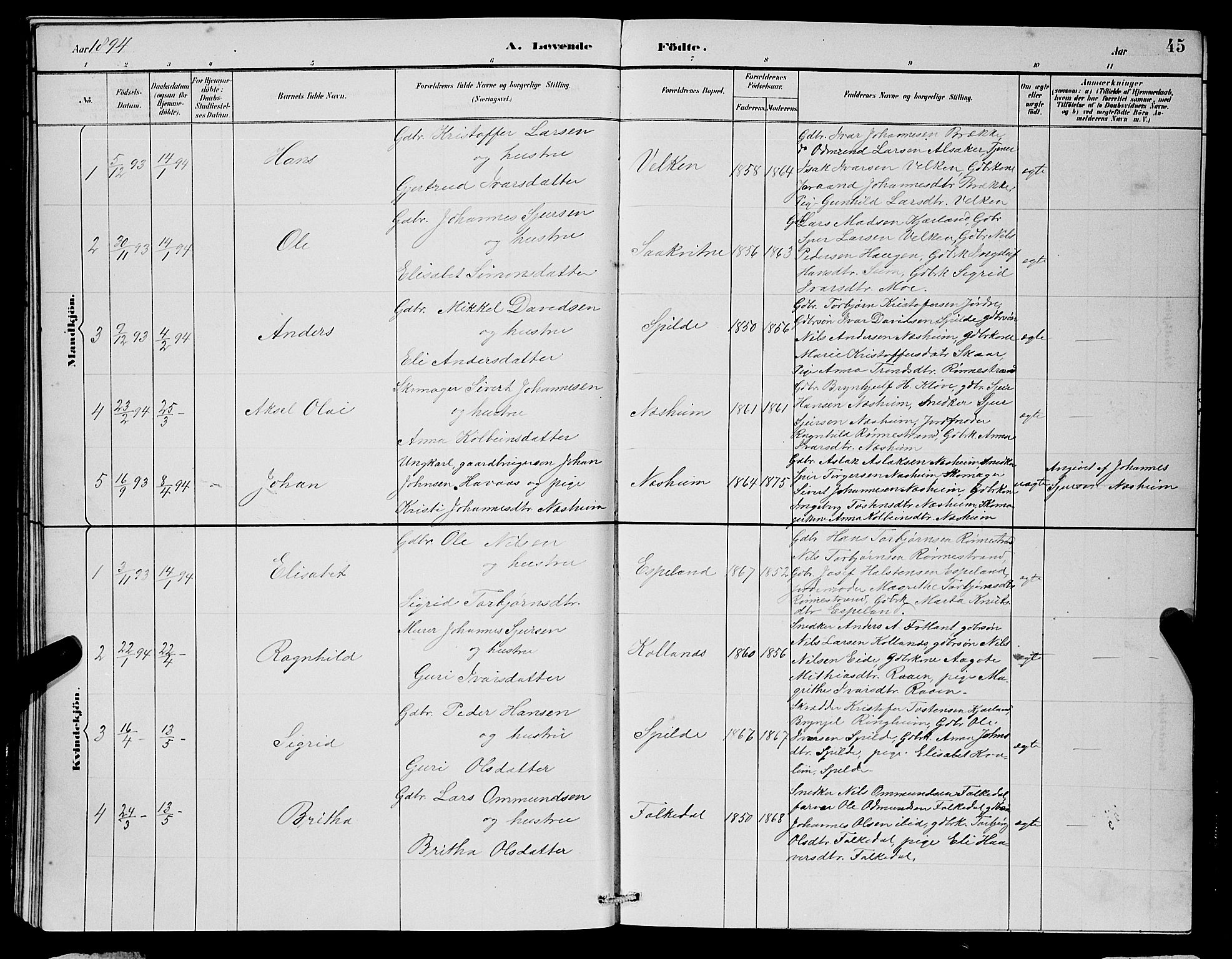 Ulvik sokneprestembete, SAB/A-78801/H/Hab: Parish register (copy) no. B 3, 1884-1901, p. 45
