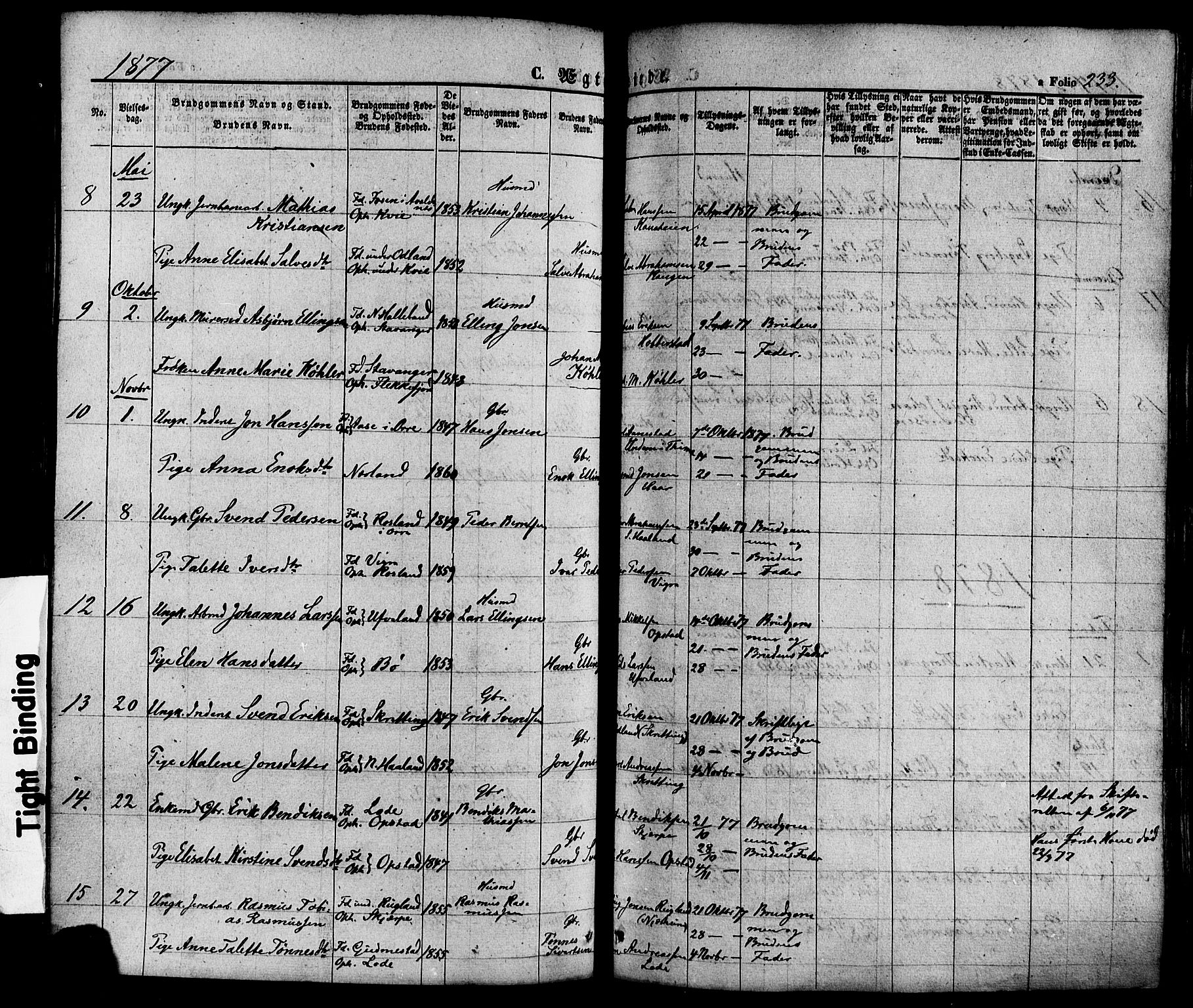 Hå sokneprestkontor, AV/SAST-A-101801/001/30BA/L0008: Parish register (official) no. A 7, 1853-1878, p. 233