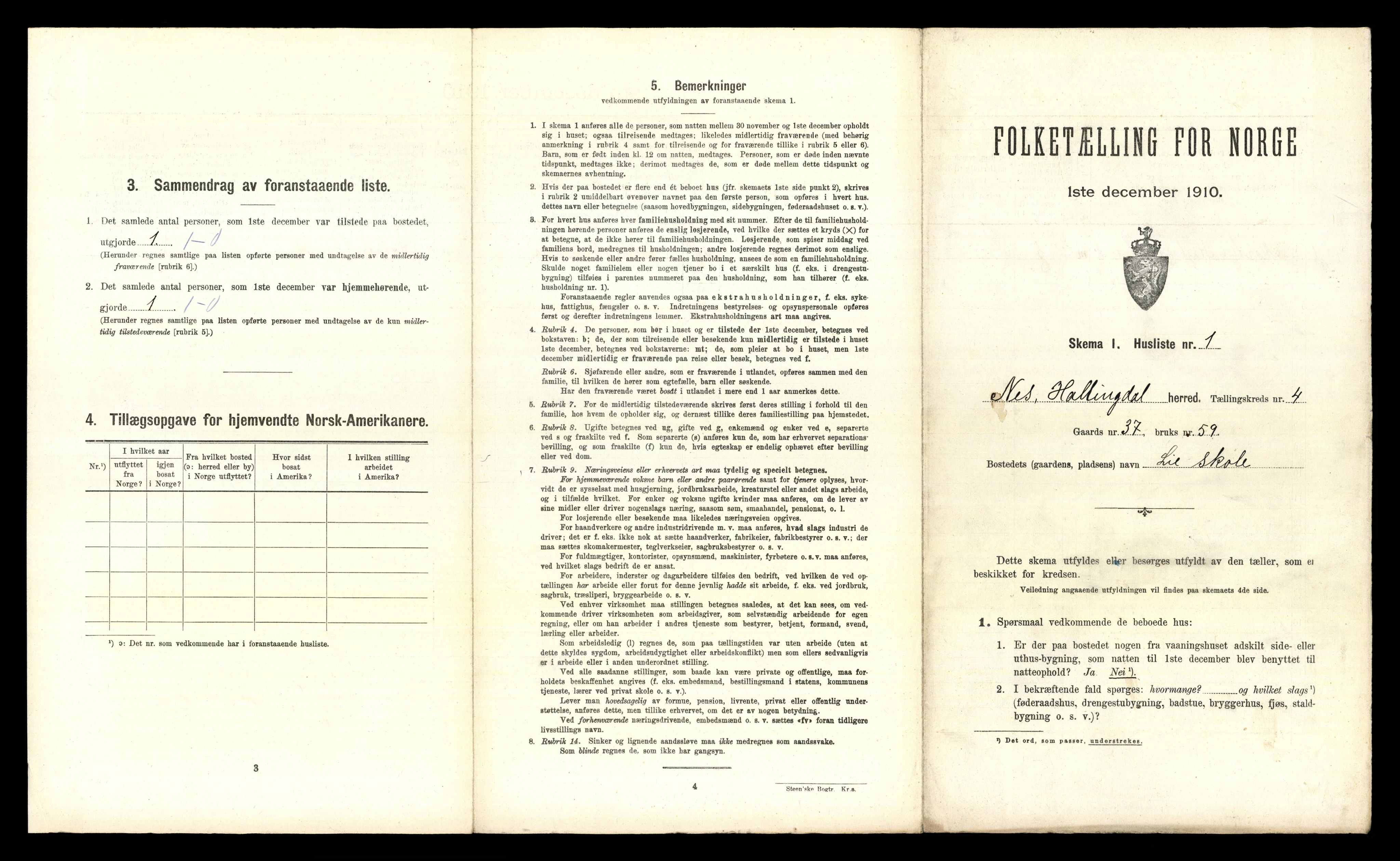 RA, 1910 census for Nes, 1910, p. 222