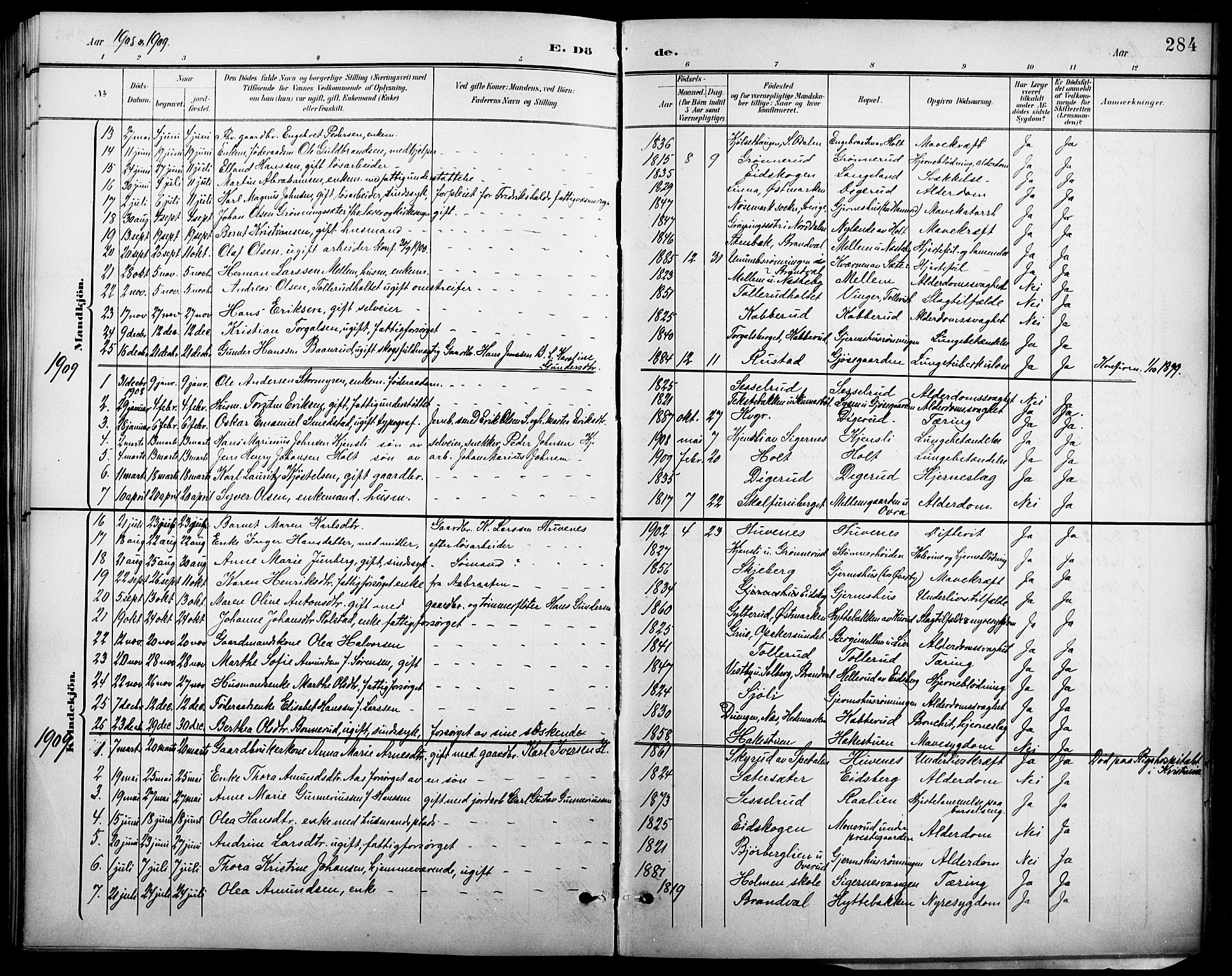 Vinger prestekontor, SAH/PREST-024/H/Ha/Hab/L0003: Parish register (copy) no. 3, 1895-1920, p. 284