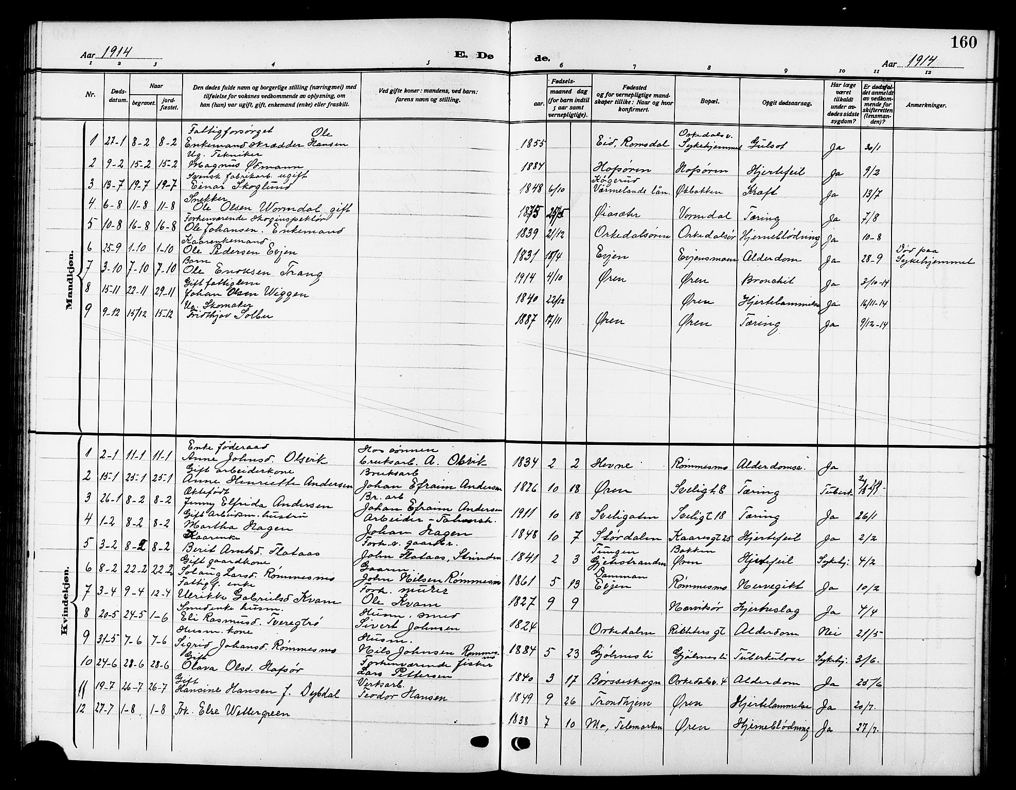 Ministerialprotokoller, klokkerbøker og fødselsregistre - Sør-Trøndelag, SAT/A-1456/669/L0831: Parish register (copy) no. 669C01, 1909-1924, p. 160