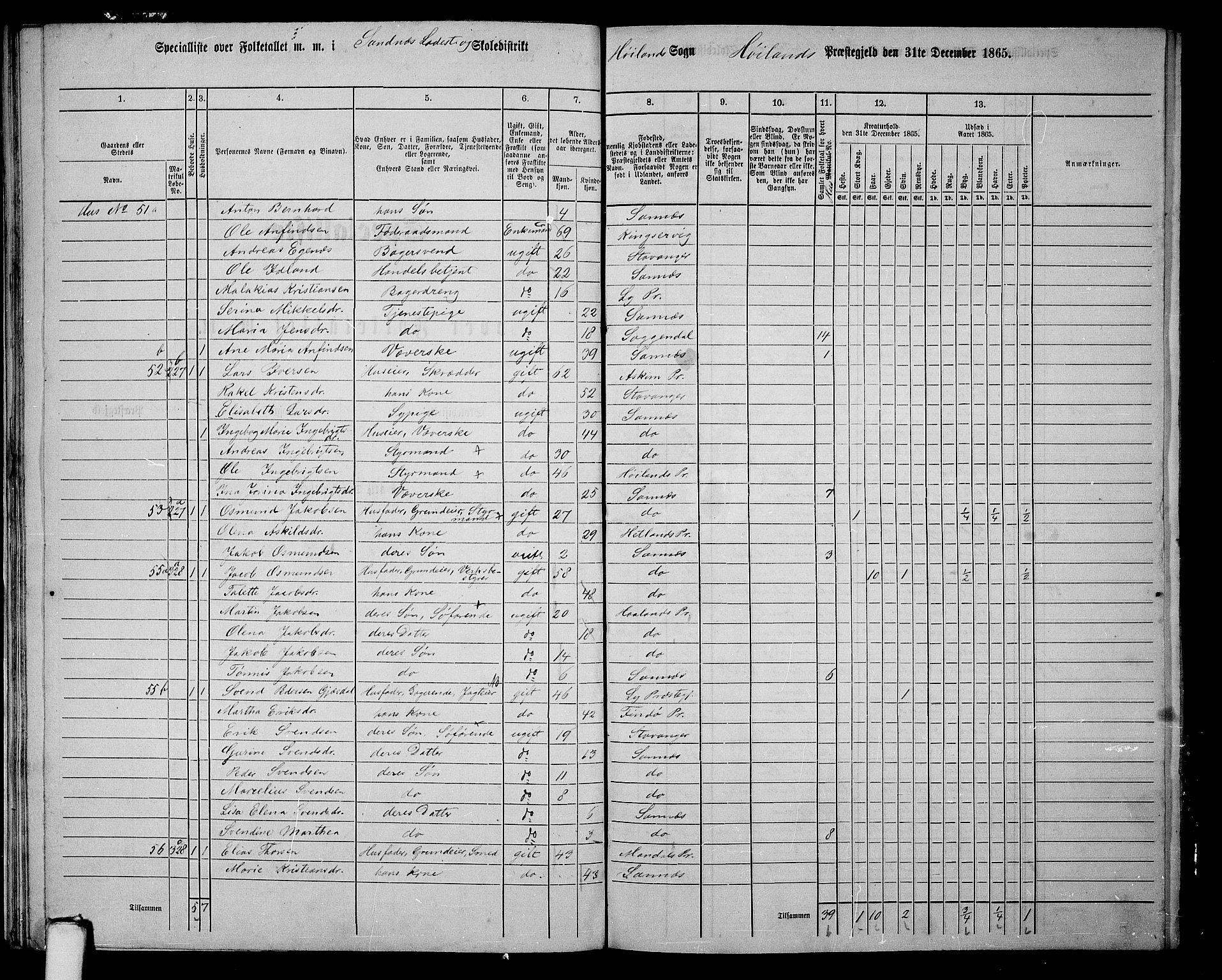 RA, 1865 census for Høyland, 1865, p. 164