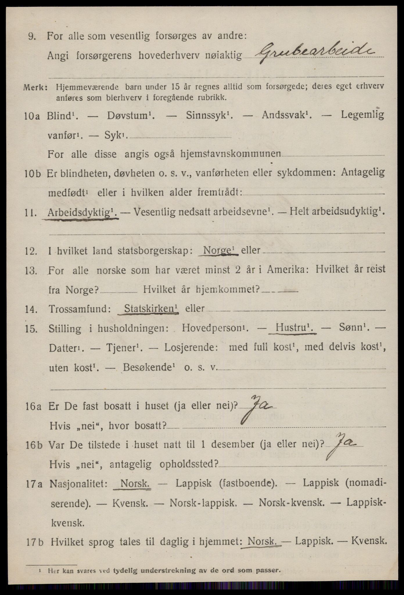 SAT, 1920 census for Røros, 1920, p. 8165