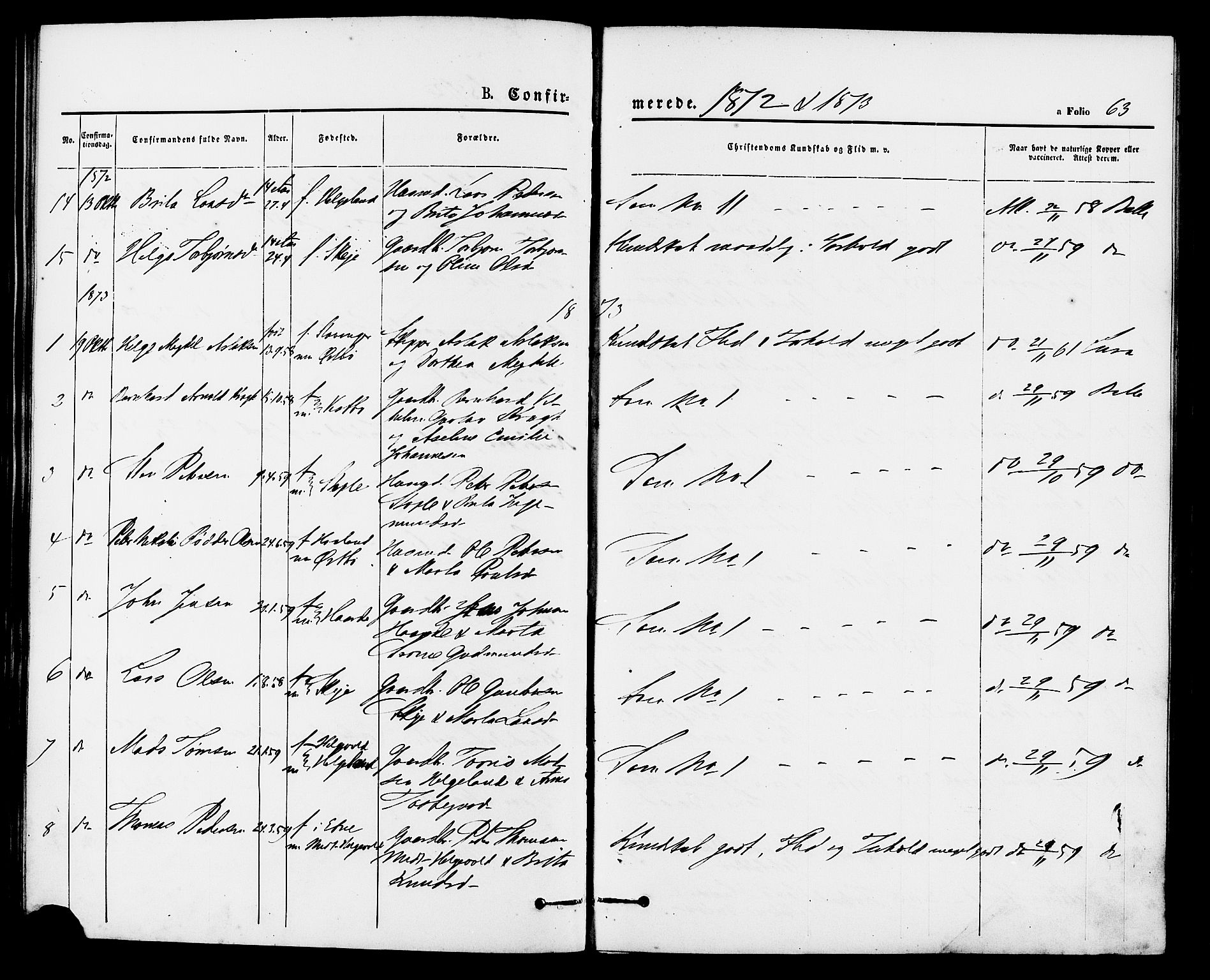 Vikedal sokneprestkontor, AV/SAST-A-101840/01/IV: Parish register (official) no. A 8, 1868-1885, p. 63