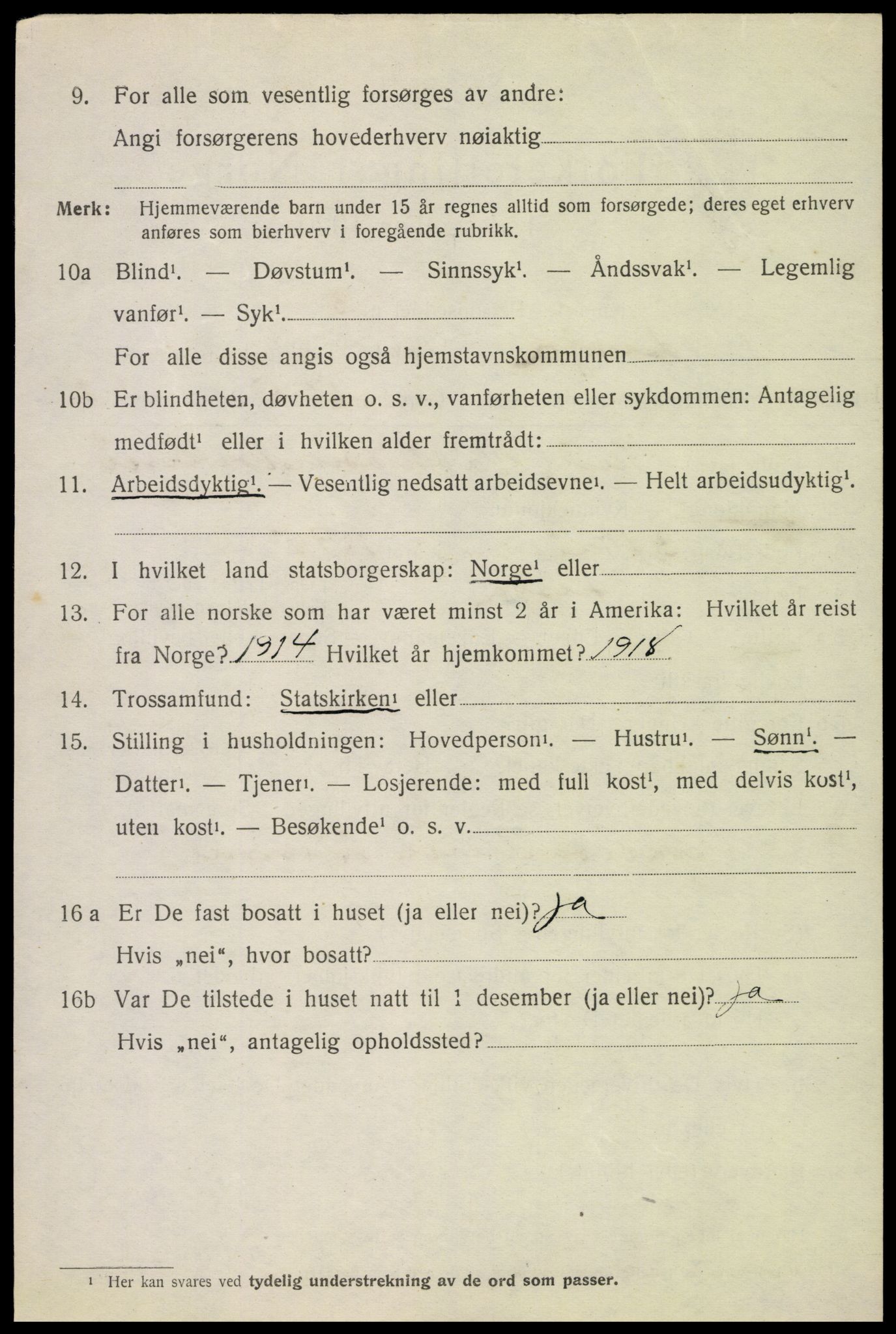 SAH, 1920 census for Lesja, 1920, p. 3919