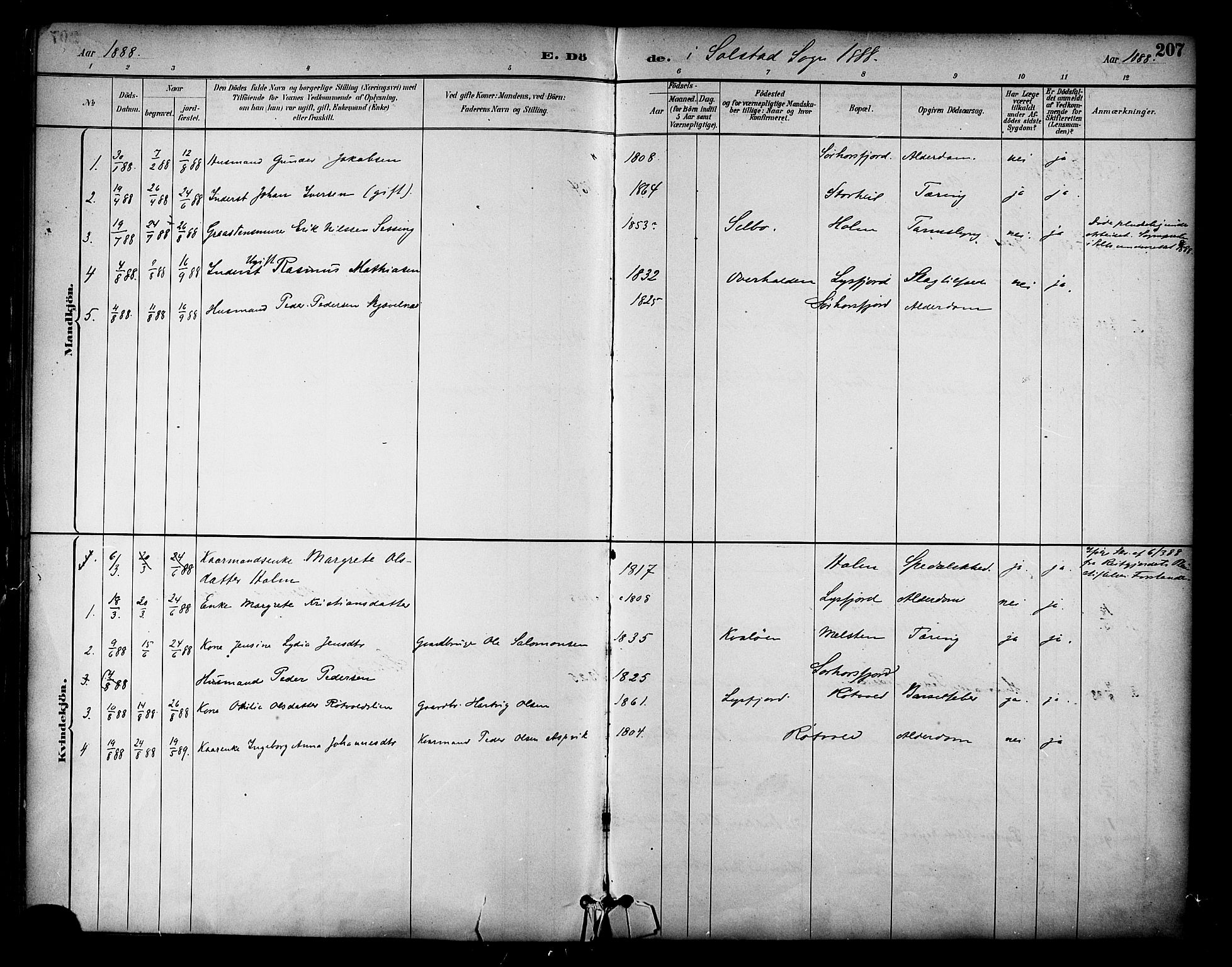 Ministerialprotokoller, klokkerbøker og fødselsregistre - Nordland, AV/SAT-A-1459/810/L0151: Parish register (official) no. 810A10 /2, 1885-1895, p. 207