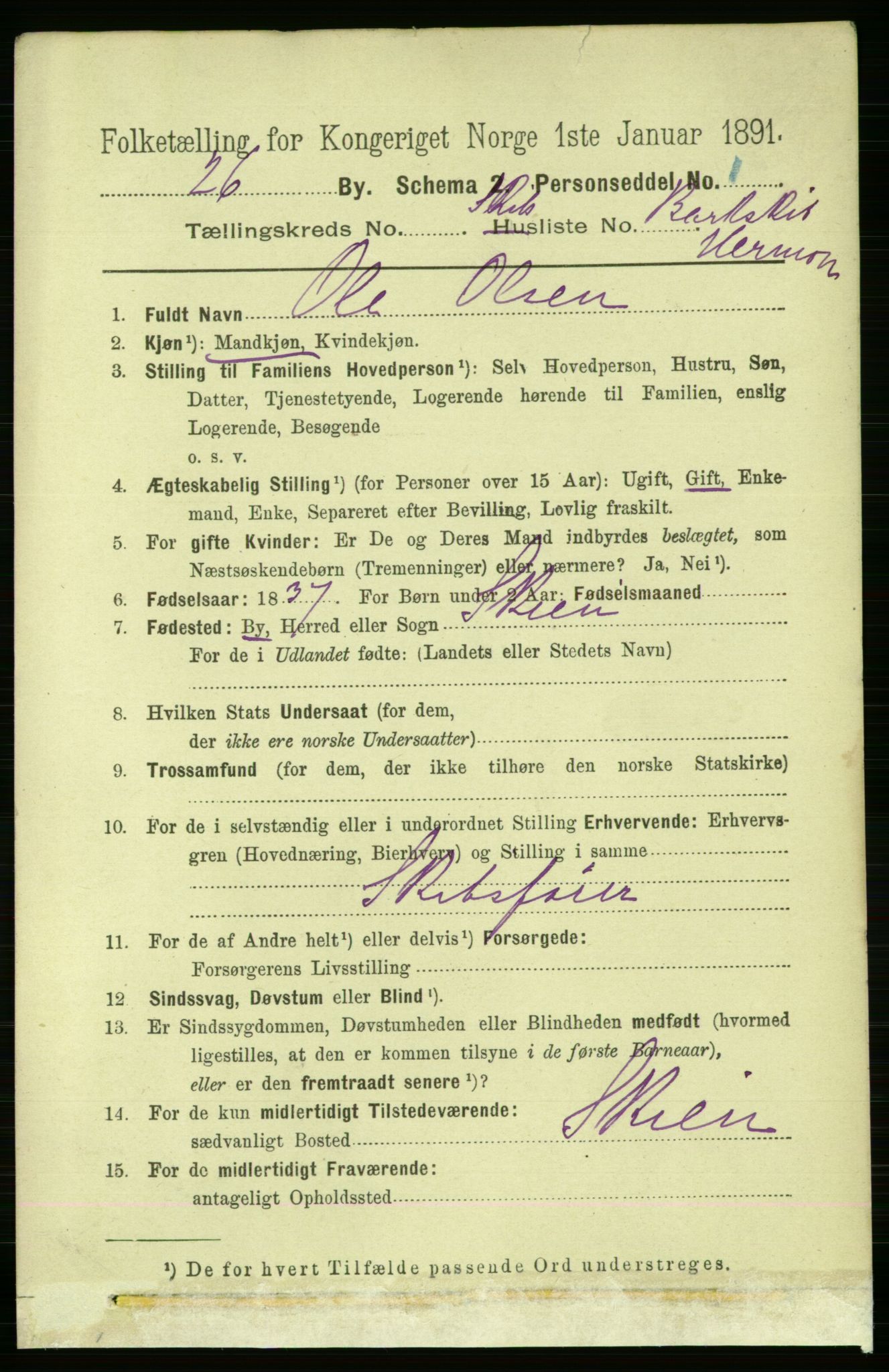 RA, 1891 census for 0802 Langesund, 1891, p. 1796