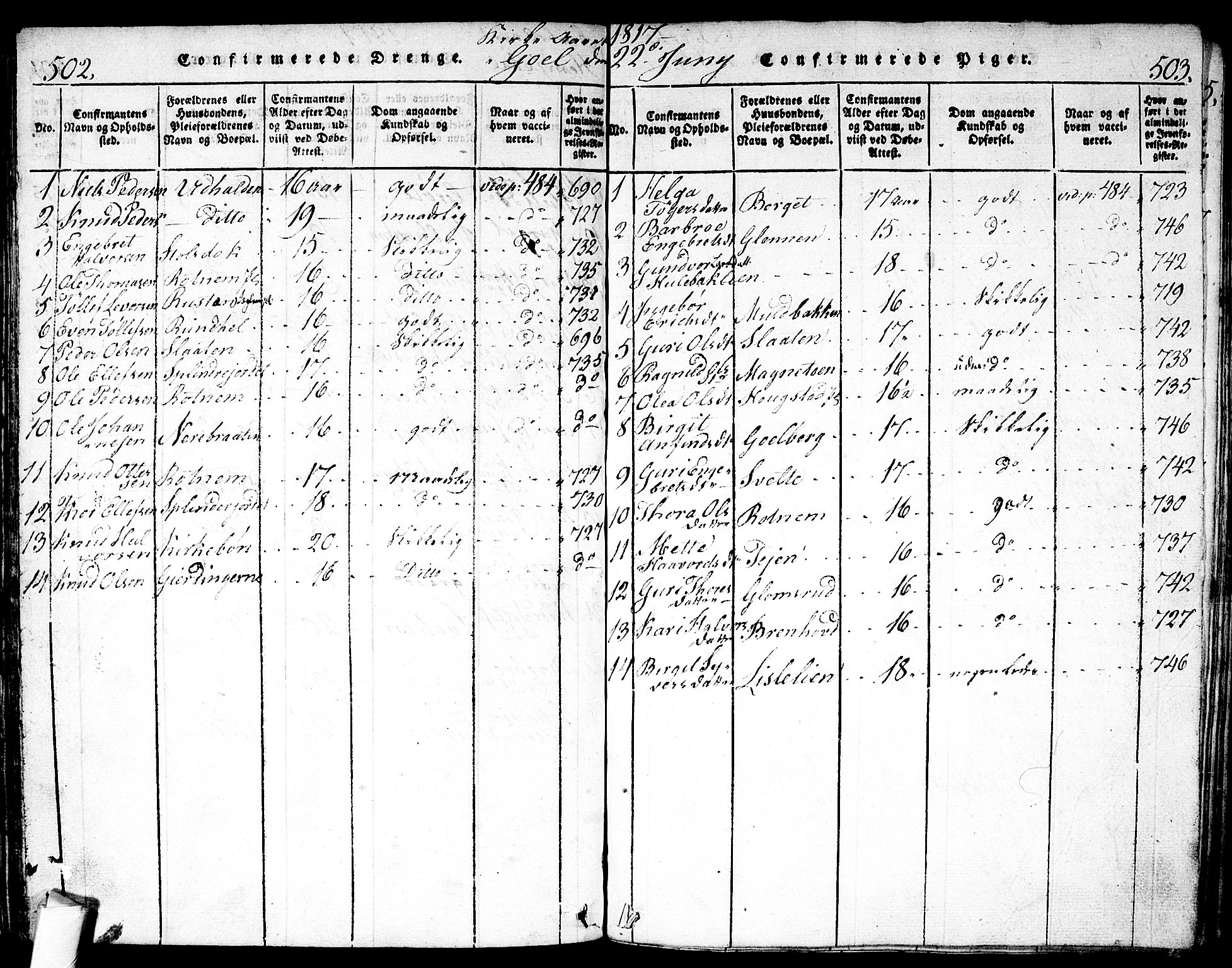 Nes kirkebøker, AV/SAKO-A-236/F/Fa/L0007: Parish register (official) no. 7, 1815-1823, p. 502-503