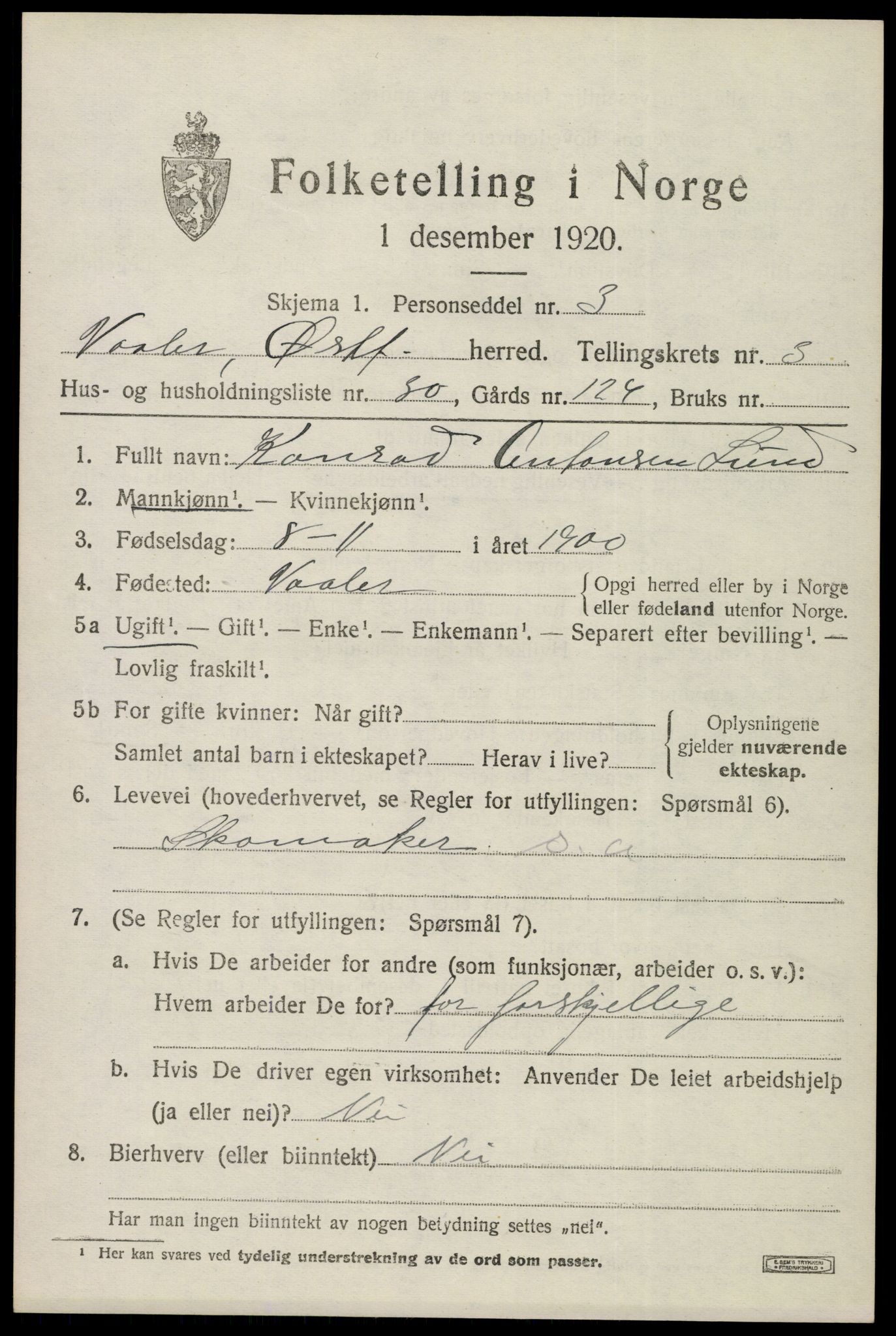 SAO, 1920 census for Våler, 1920, p. 2348