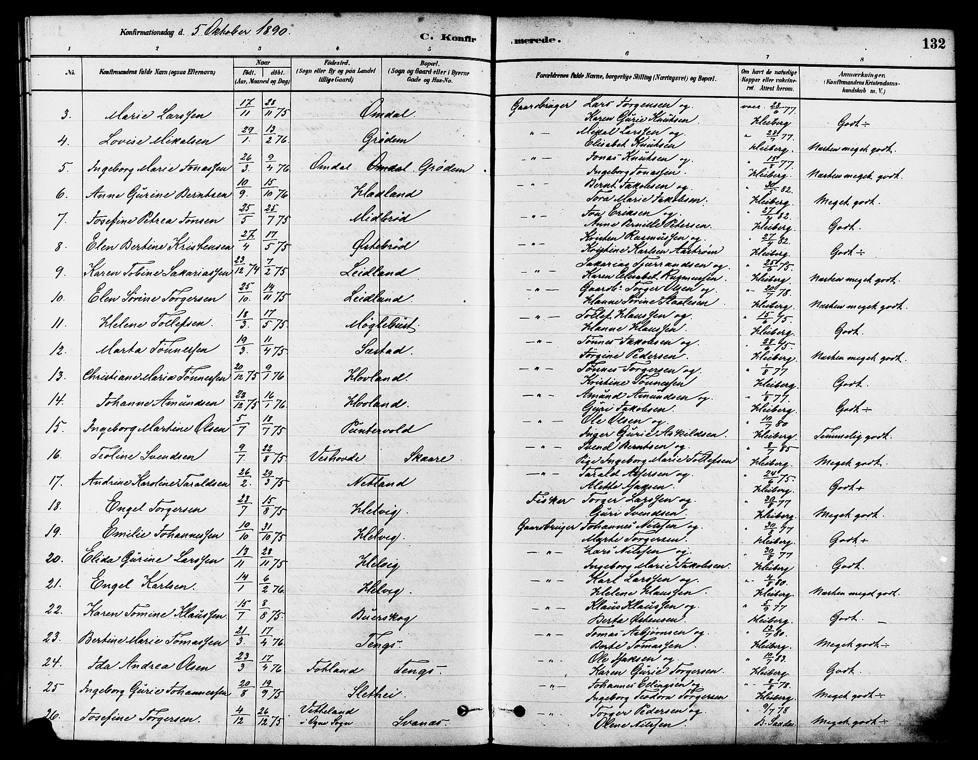 Eigersund sokneprestkontor, AV/SAST-A-101807/S08/L0017: Parish register (official) no. A 14, 1879-1892, p. 132