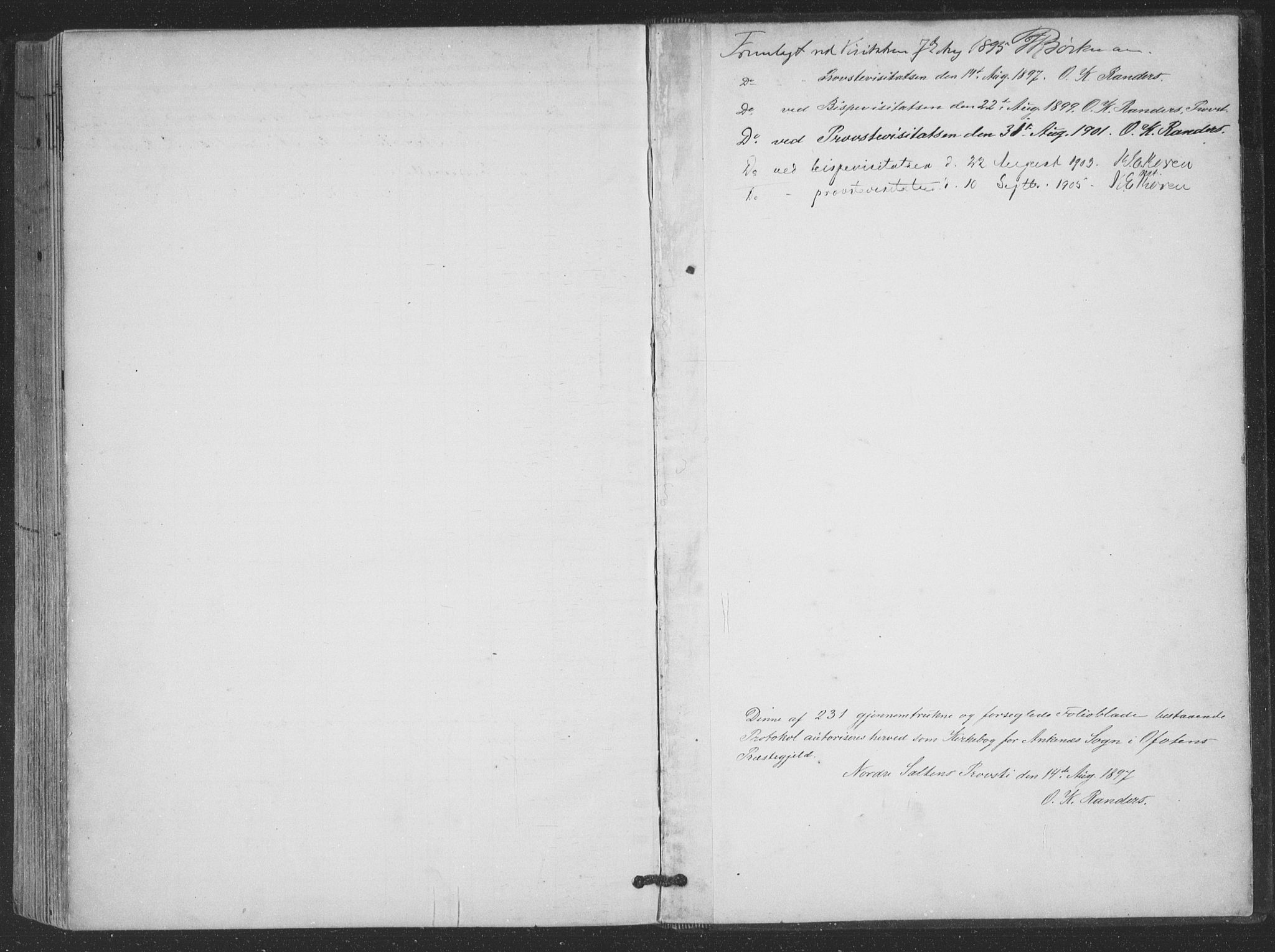 Ministerialprotokoller, klokkerbøker og fødselsregistre - Nordland, SAT/A-1459/866/L0939: Parish register (official) no. 866A02, 1894-1906