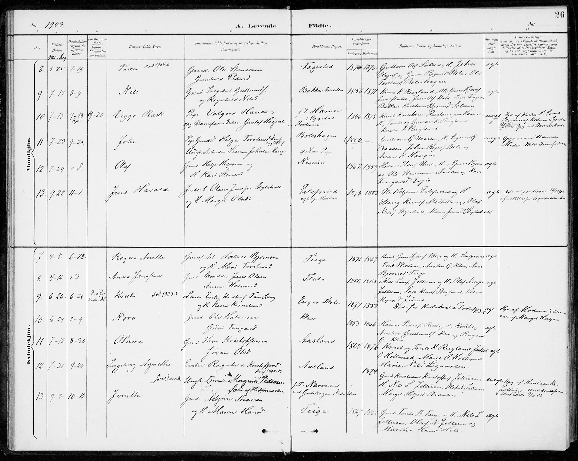 Sigdal kirkebøker, SAKO/A-245/F/Fc/L0002: Parish register (official) no. III 2, 1894-1911, p. 26