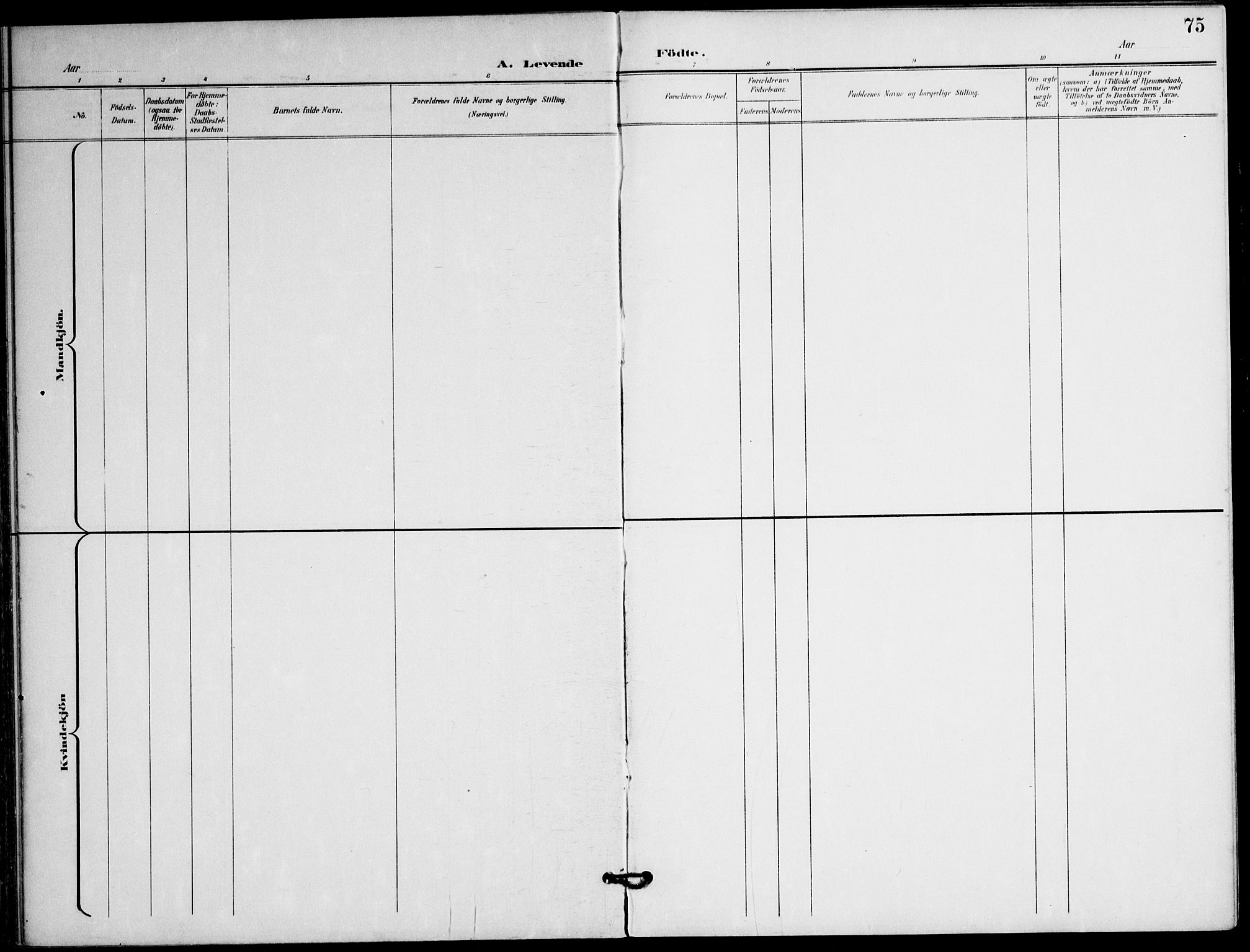 Ministerialprotokoller, klokkerbøker og fødselsregistre - Nordland, AV/SAT-A-1459/823/L0326: Parish register (official) no. 823A03, 1899-1919, p. 75