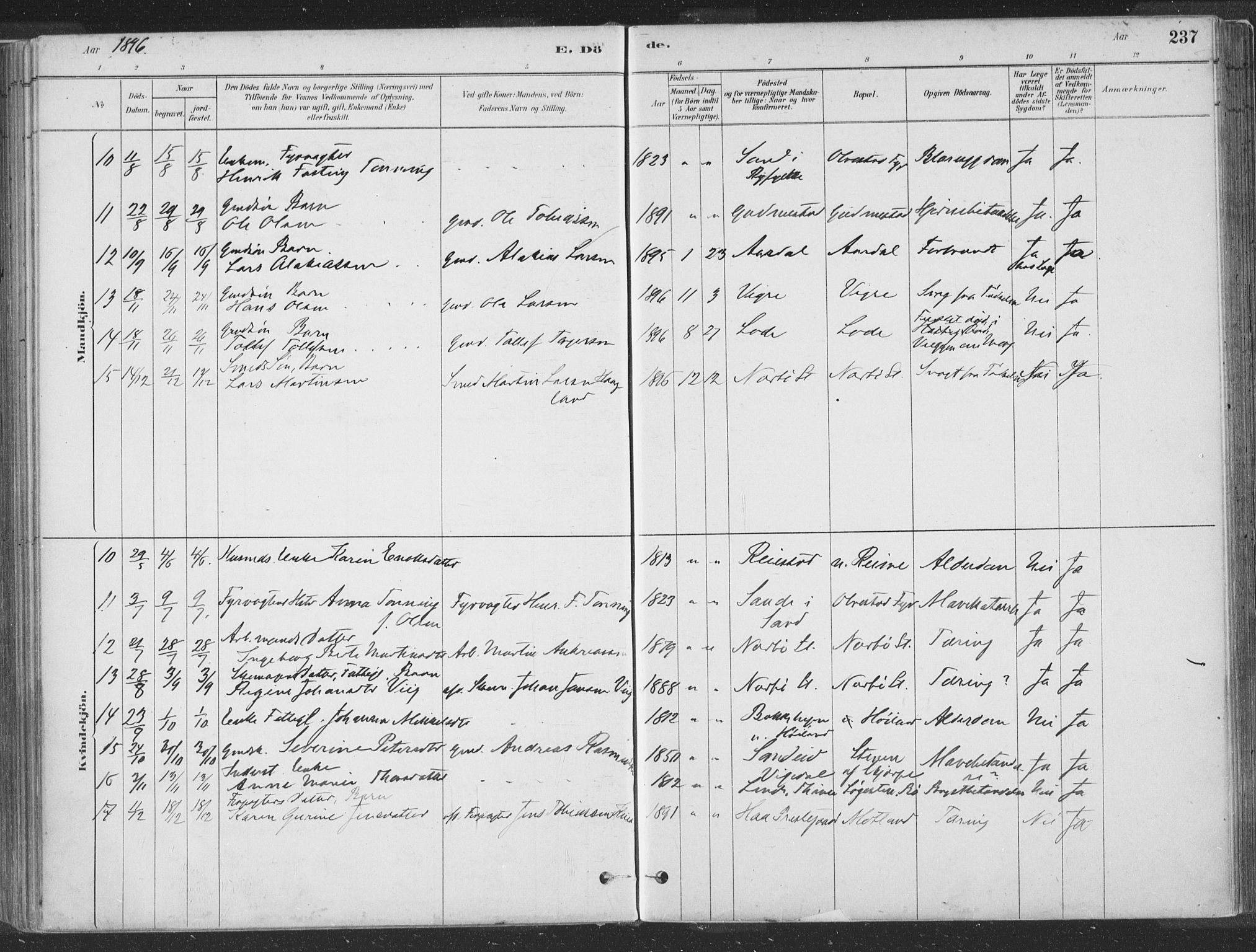 Hå sokneprestkontor, SAST/A-101801/001/30BA/L0010: Parish register (official) no. A 9, 1879-1896, p. 237