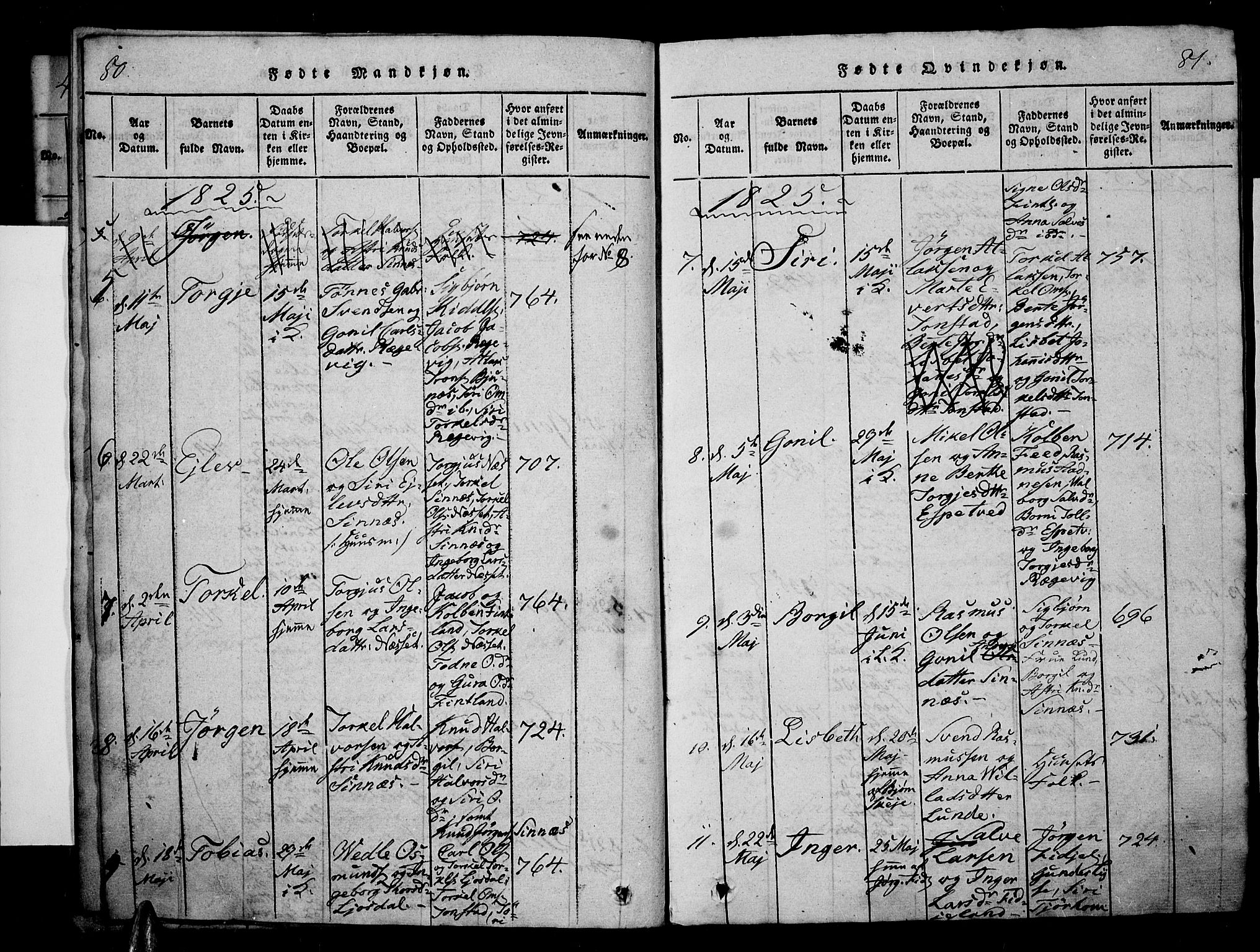 Sirdal sokneprestkontor, SAK/1111-0036/F/Fa/Fab/L0001: Parish register (official) no. A 1, 1815-1834, p. 80-81