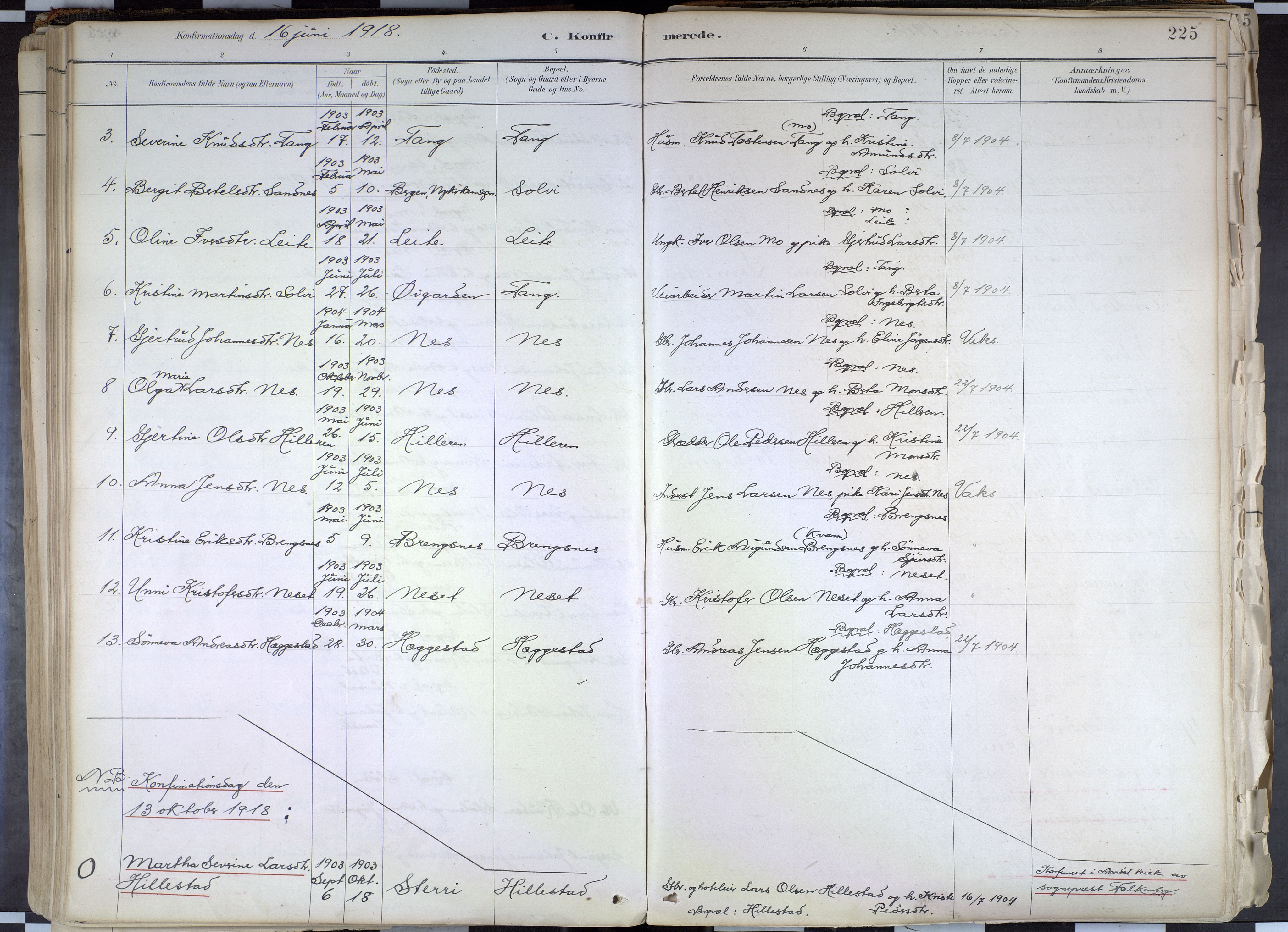 Hafslo sokneprestembete, AV/SAB-A-80301/H/Haa/Haab/L0001: Parish register (official) no. B 1, 1886-1945, p. 225