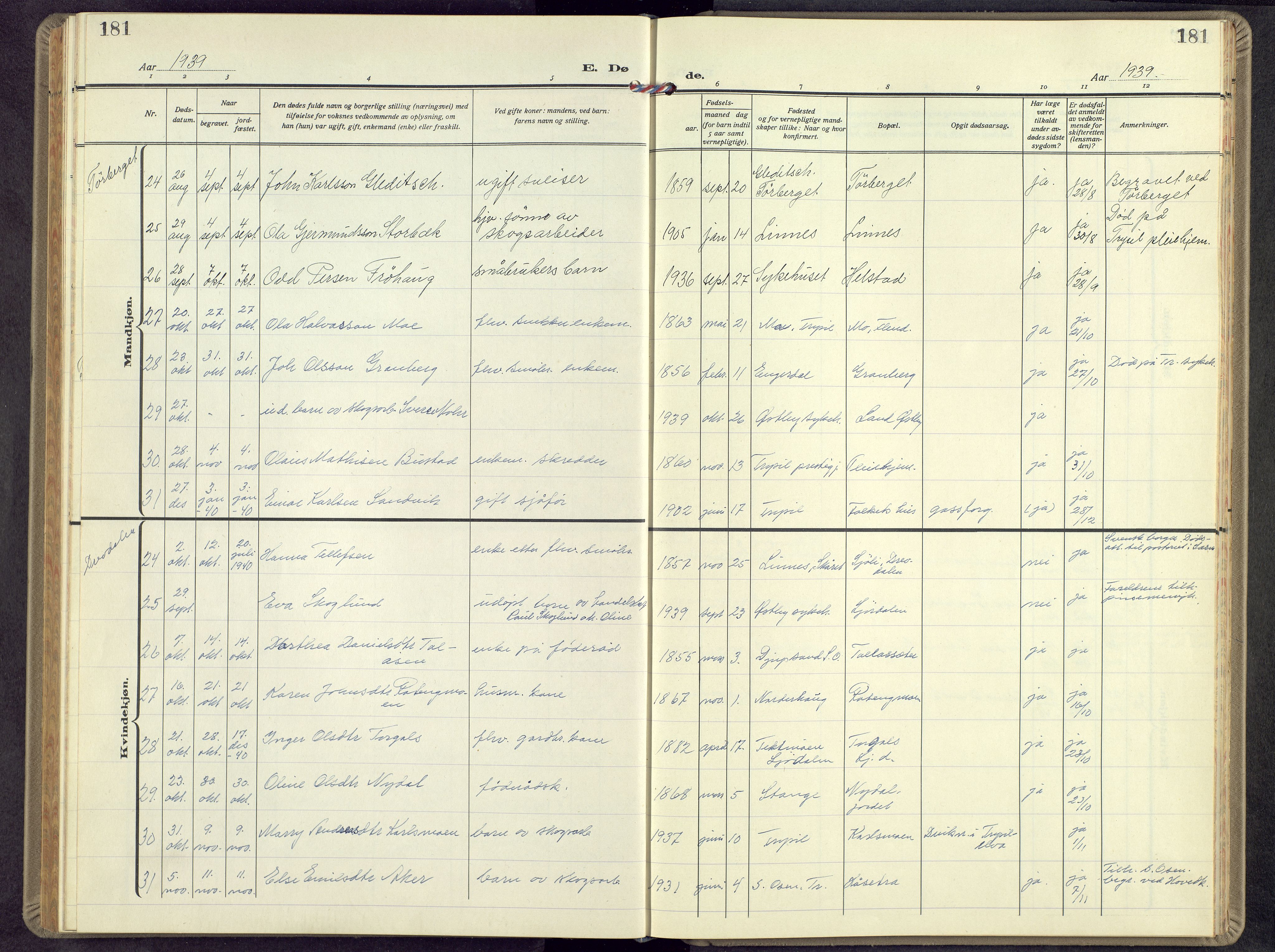 Trysil prestekontor, SAH/PREST-046/H/Ha/Hab/L0012: Parish register (copy) no. 12, 1938-1959, p. 181