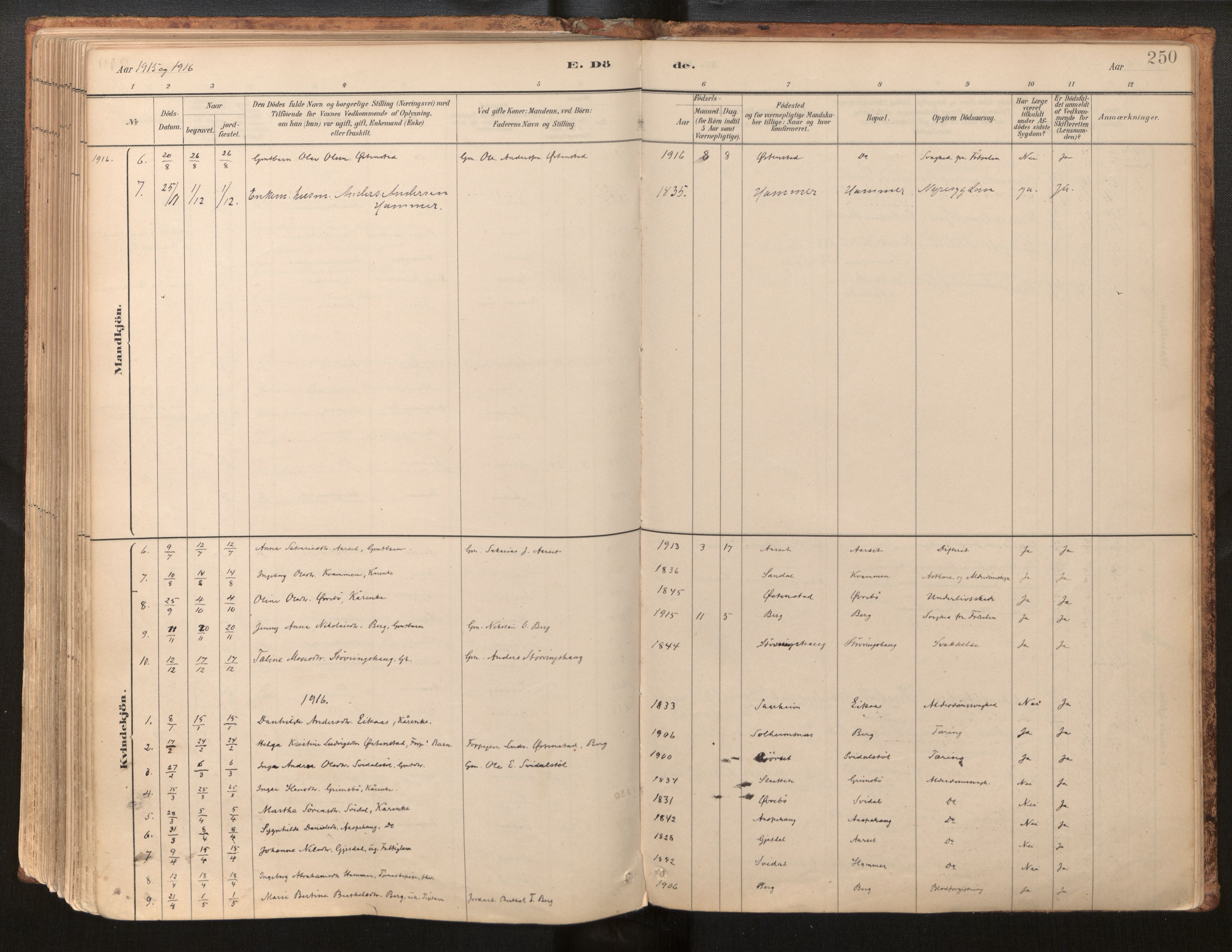 Jølster sokneprestembete, AV/SAB-A-80701/H/Haa/Haab/L0001: Parish register (official) no. B 1, 1882-1930, p. 250